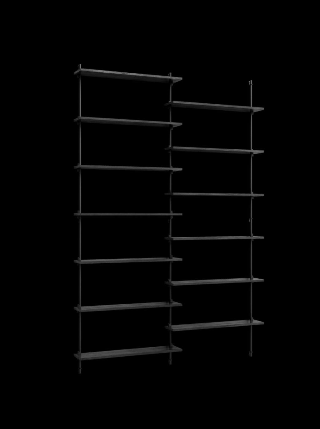 Moebe Wall Shelving Set Ws.230.2, Black Shelves, Black Legs (fsc Mix Credit)