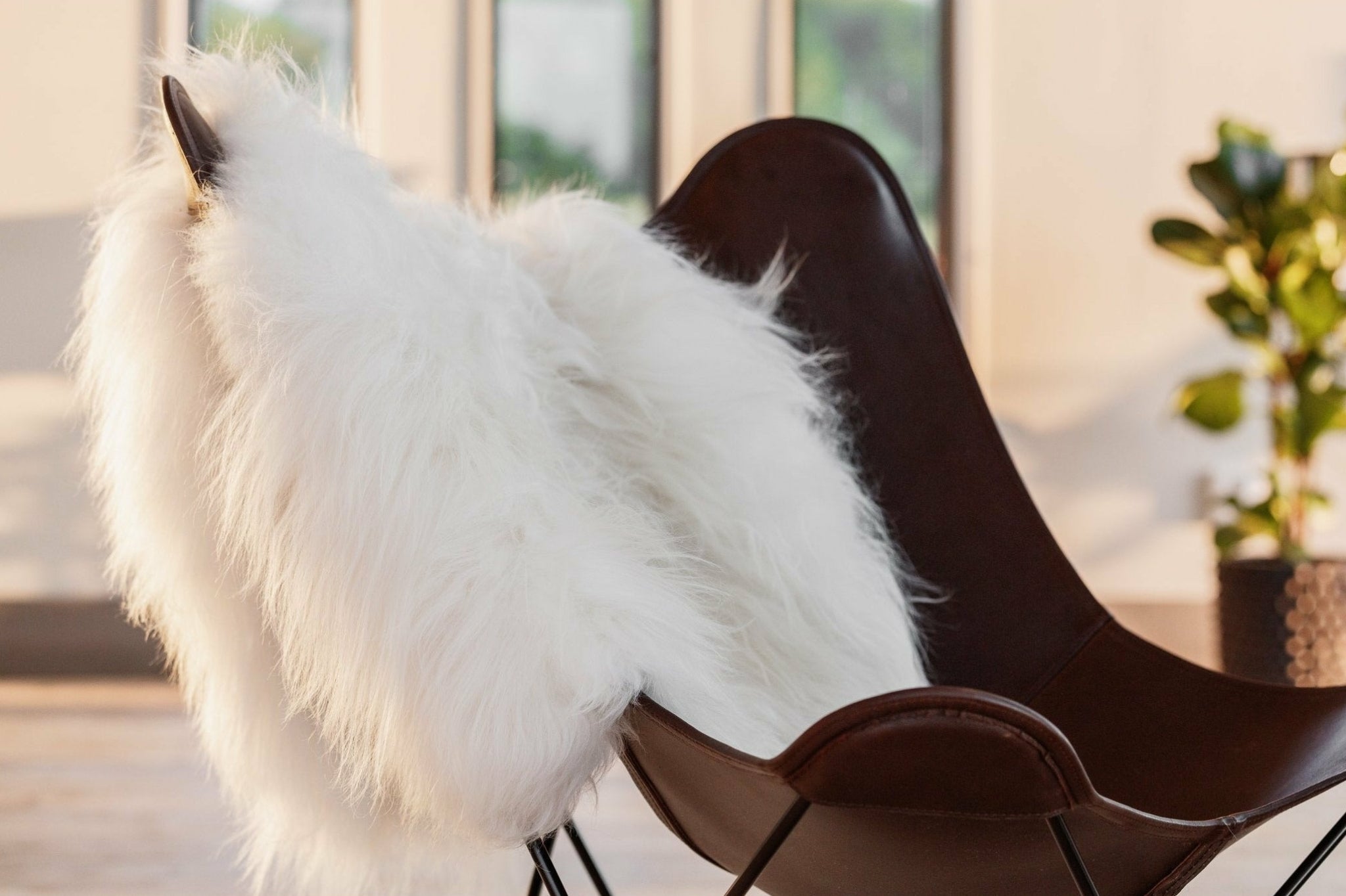 Cuero Icelandic lambskin, White