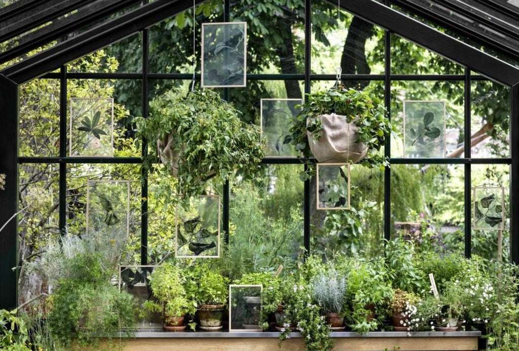 Paper Collective Floating Leaves 03 Map, A3