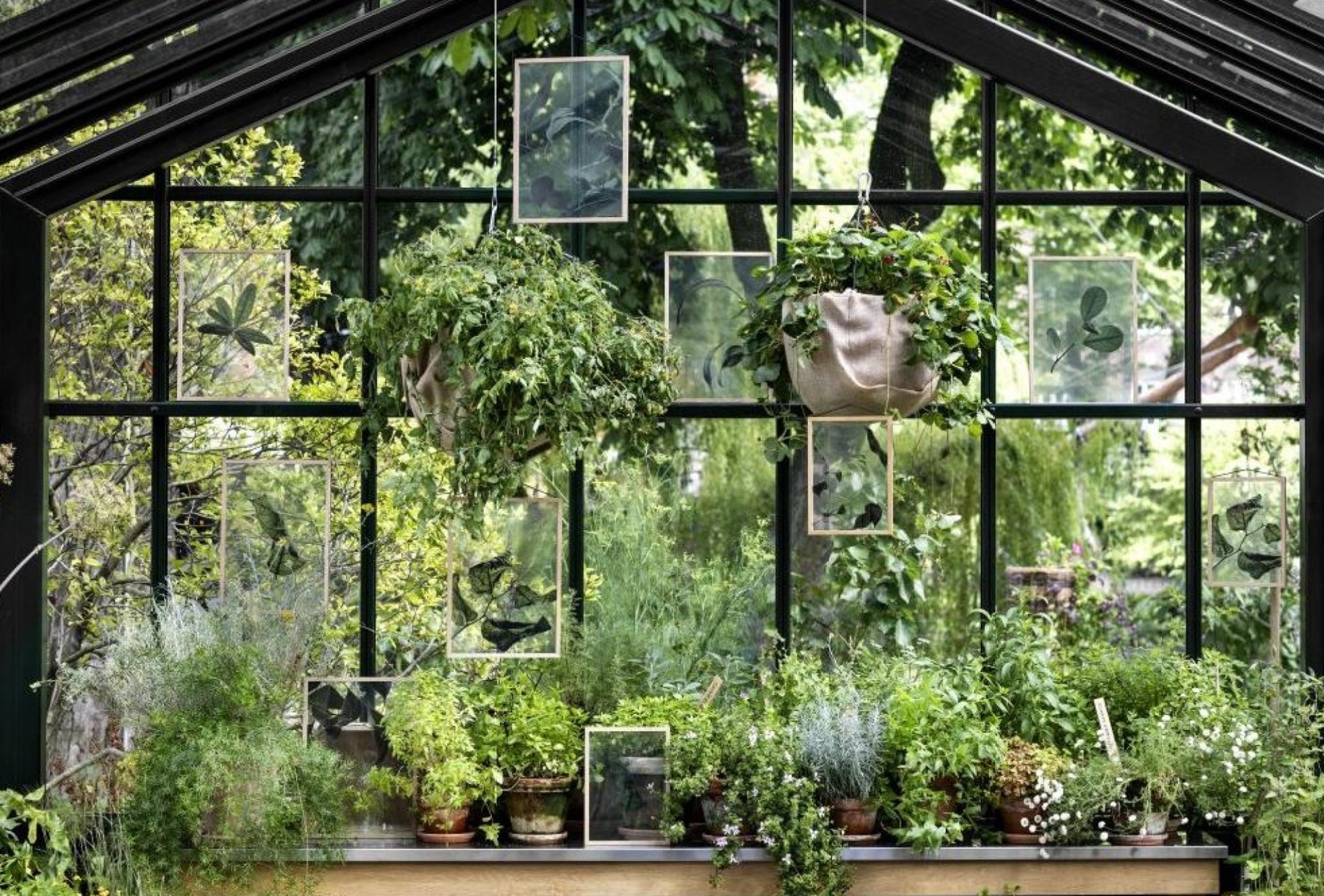 Paper Collective Floating Leaves 08 Map, A5