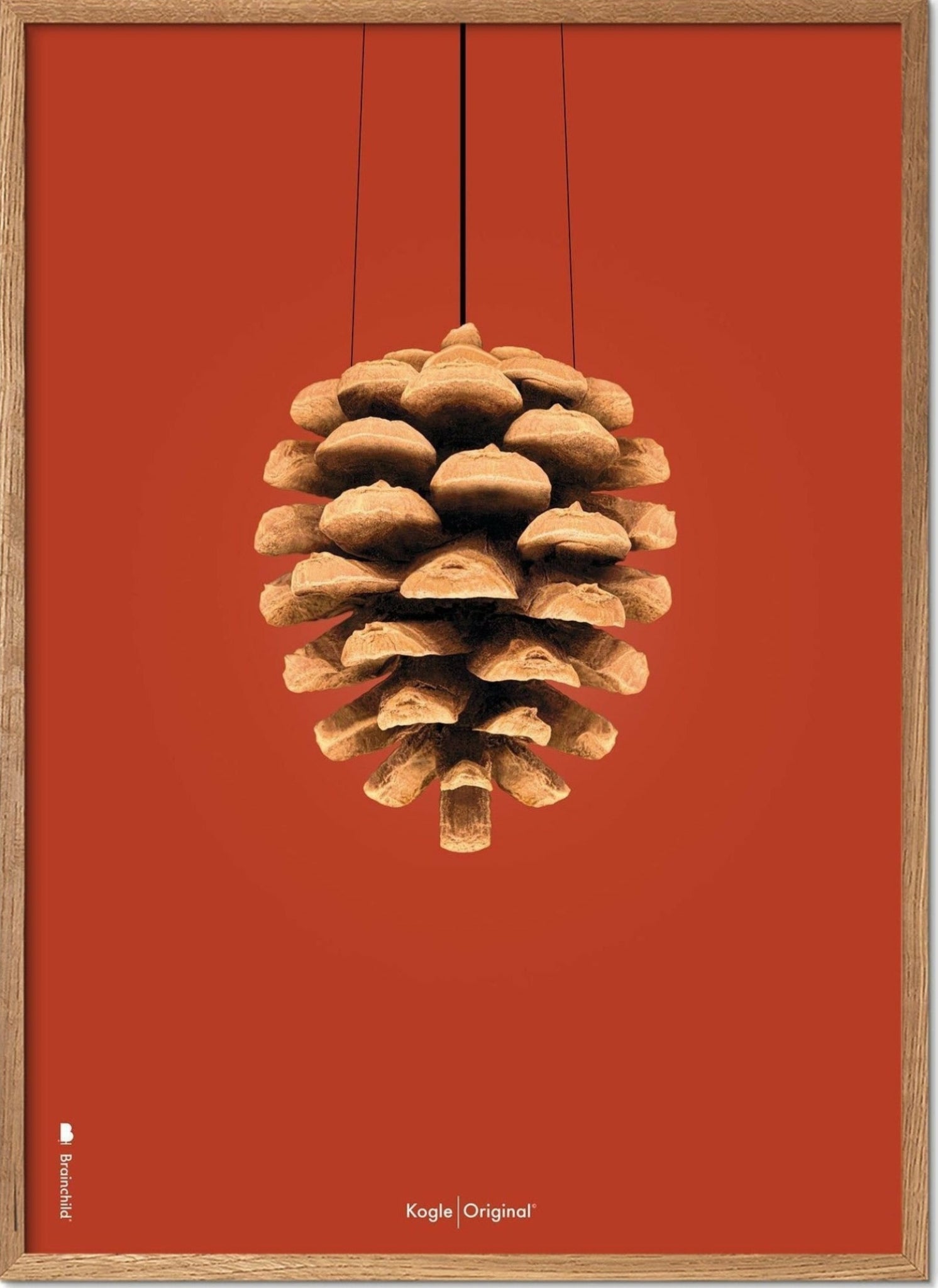 Brainchild pine cone classic poster, frame made of light wood 50x70 cm, red background