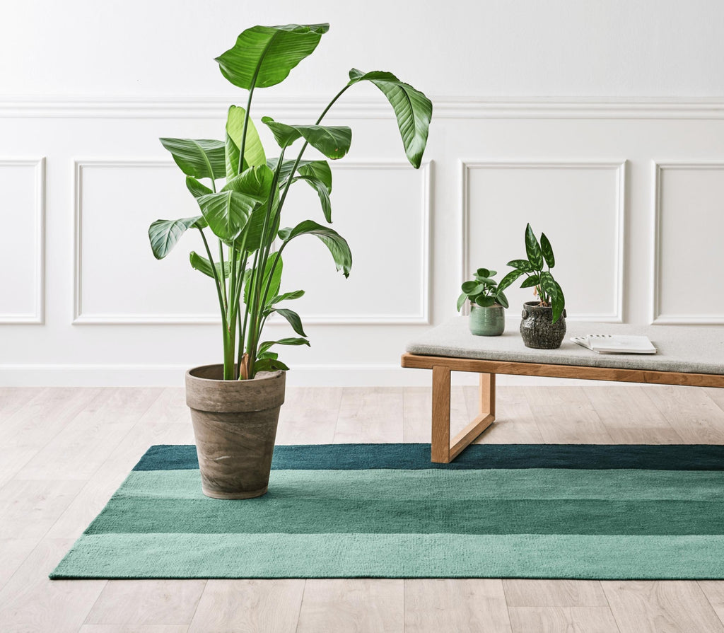 Rug Solid Pet Carpet Gradient Forest, 75 X 200 Cm