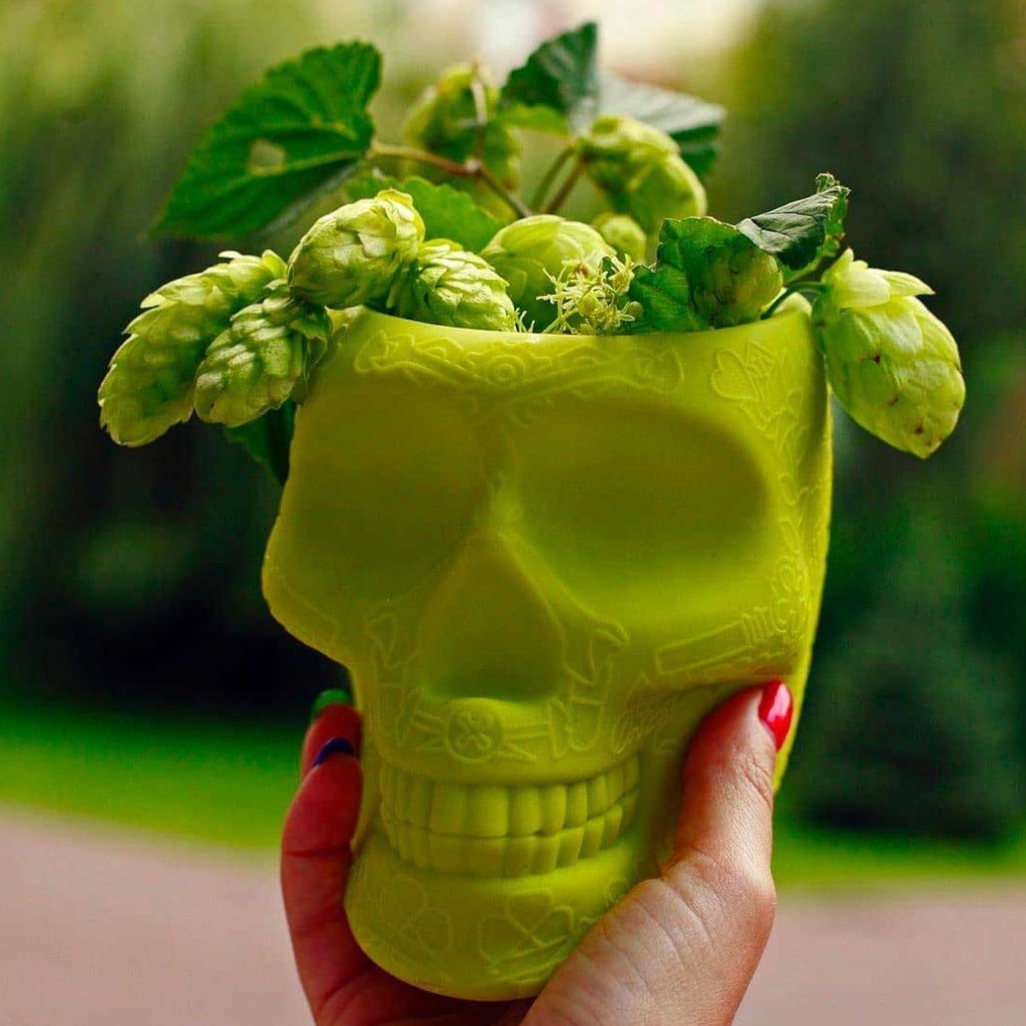 Qeeboo Mexico Planter & Pen Holder XS in Lime - Unique Home Decor Piece