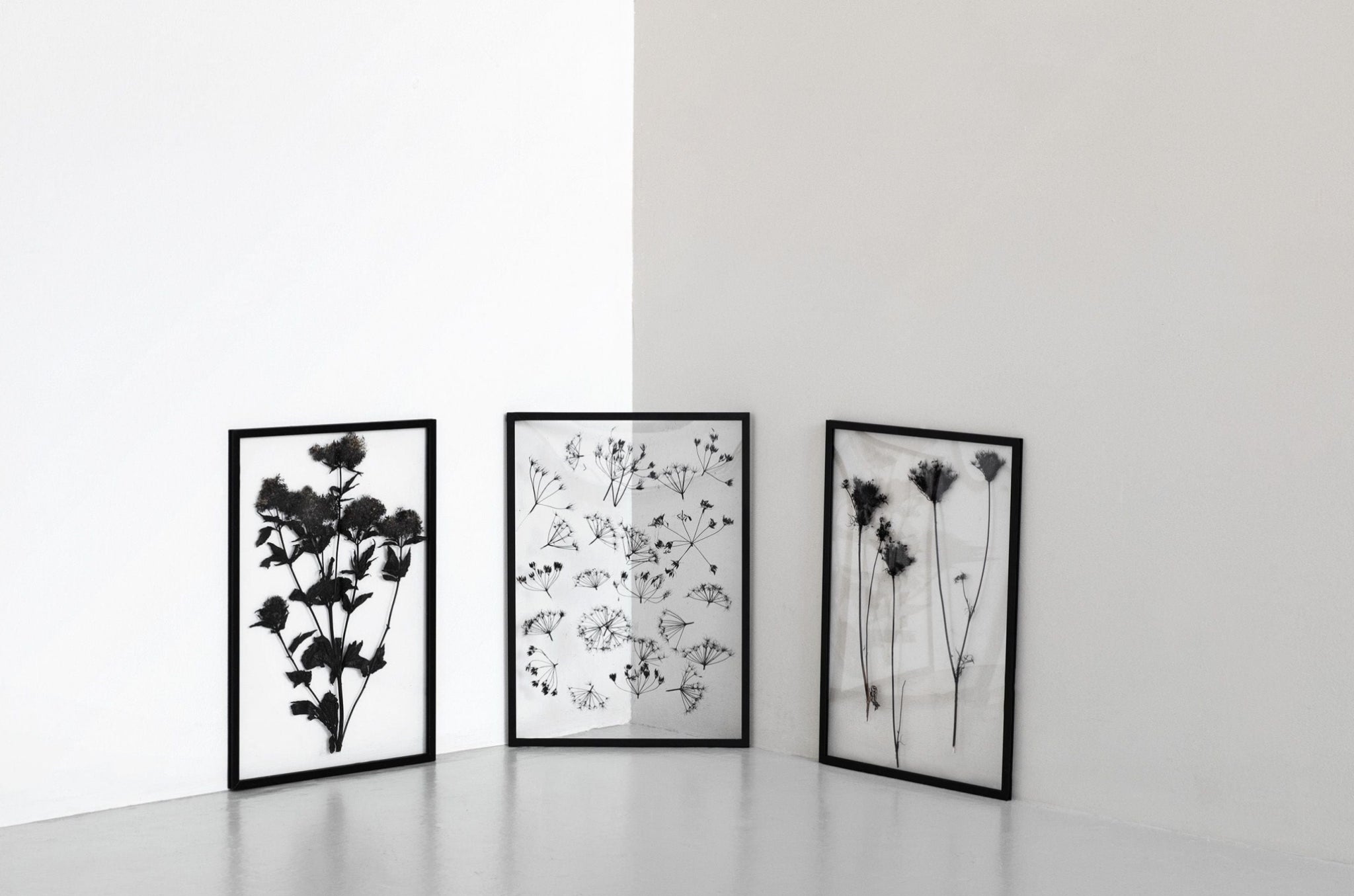 Moebe Frame 50x70 Cm, Black