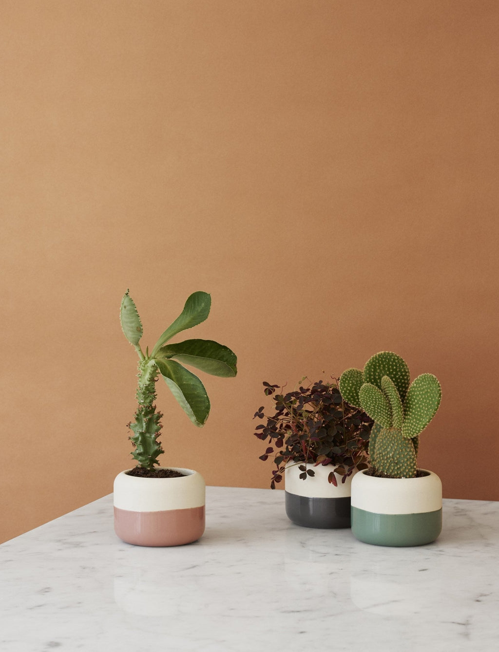 Rig Tig Plant It Flower Planter, Dusty Green