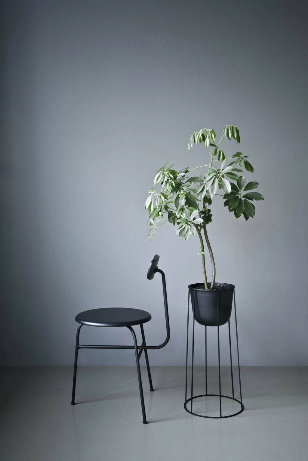 Audo Copenhagen Afteroom Dining Chair, Black