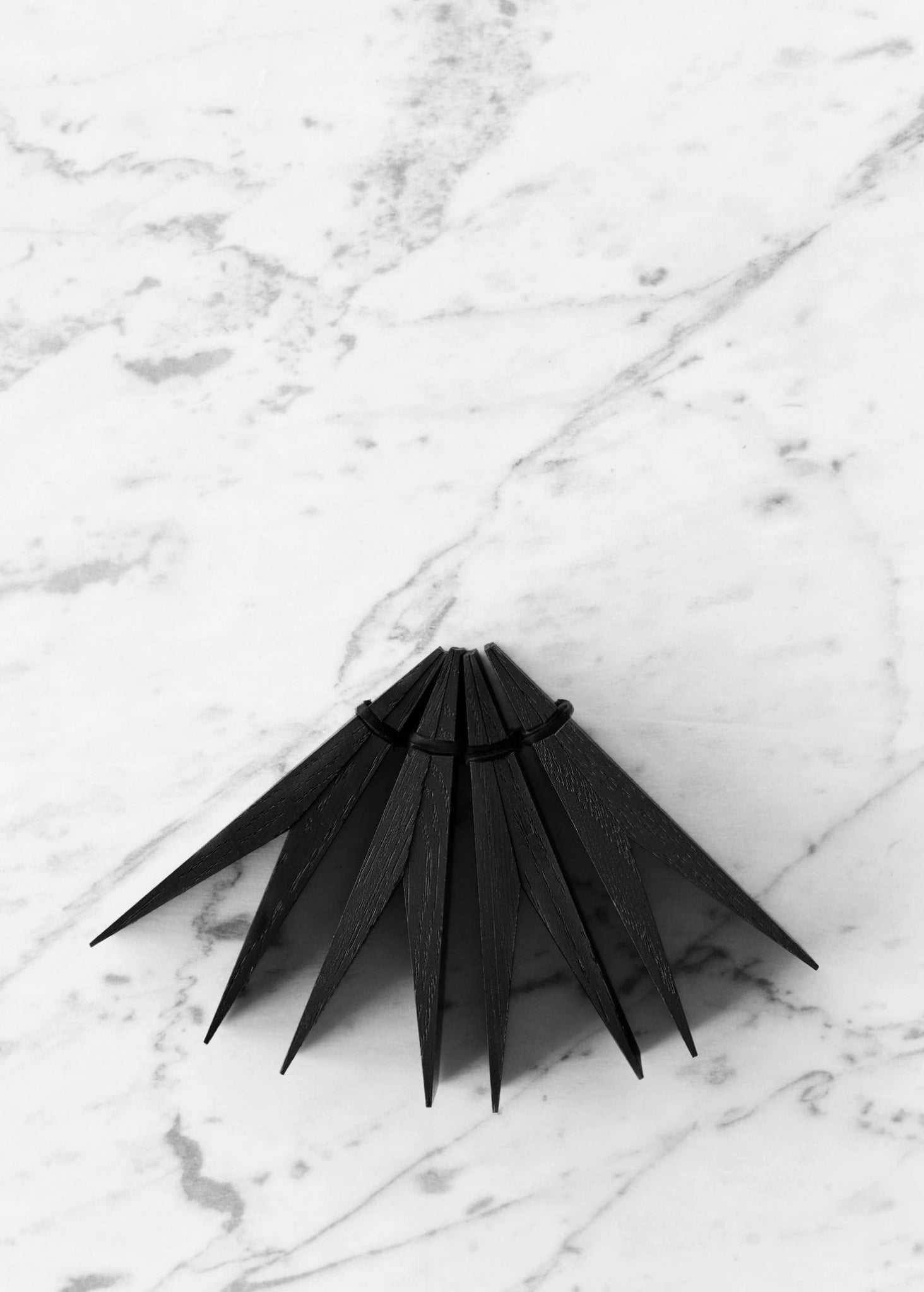 Moebe Black Wooden Clips - Stylish Ash Wood Pinch for Home & Office Decor