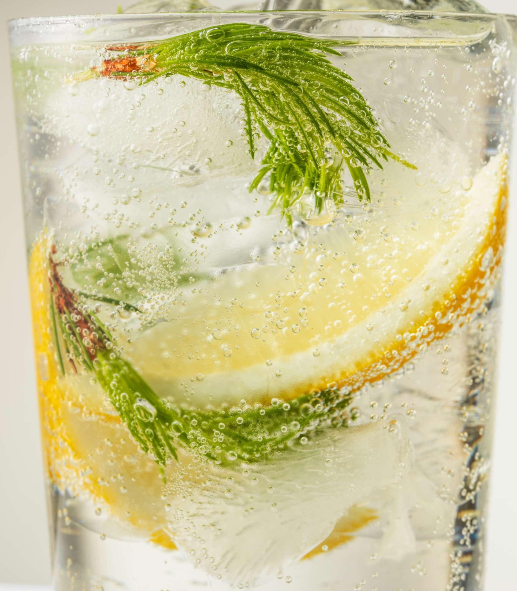 Aarke Drink Mixer: Fresh Spruce Shoots Tonic For Home Bars