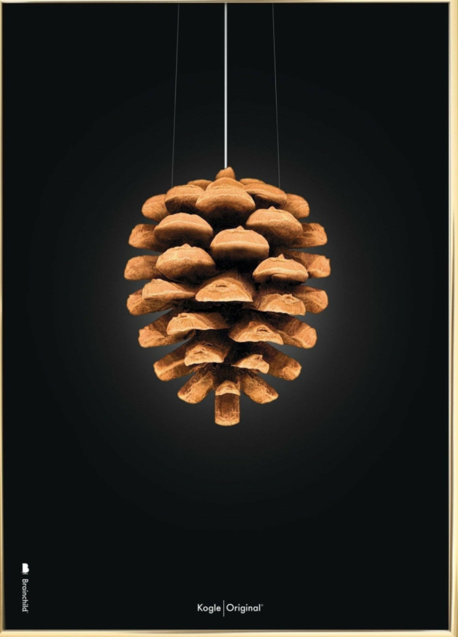 Brainchild Pine Cone Classic Poster, Brass Frame A5, Black Background