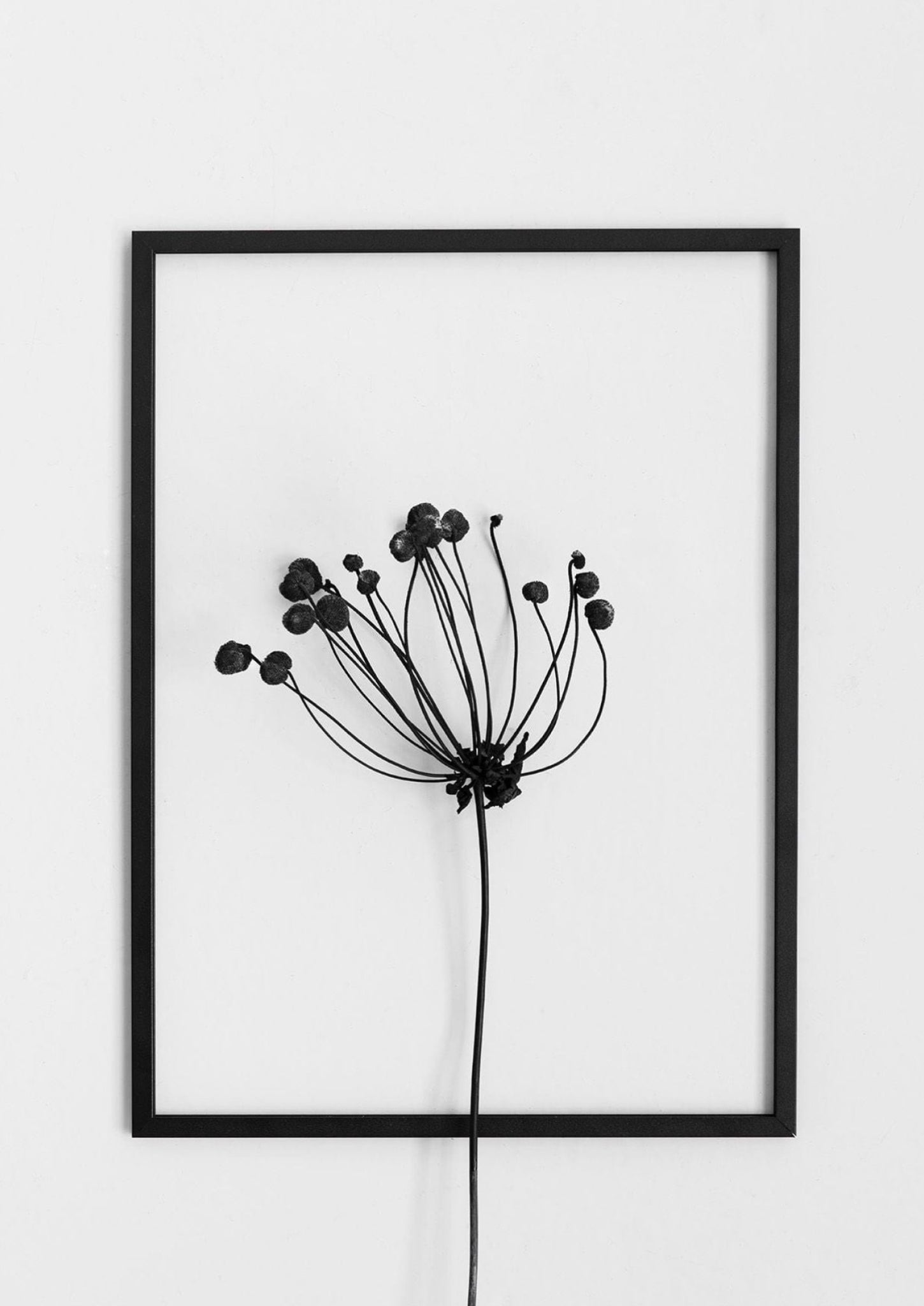 Moebe Frame 50x70 Cm, Black