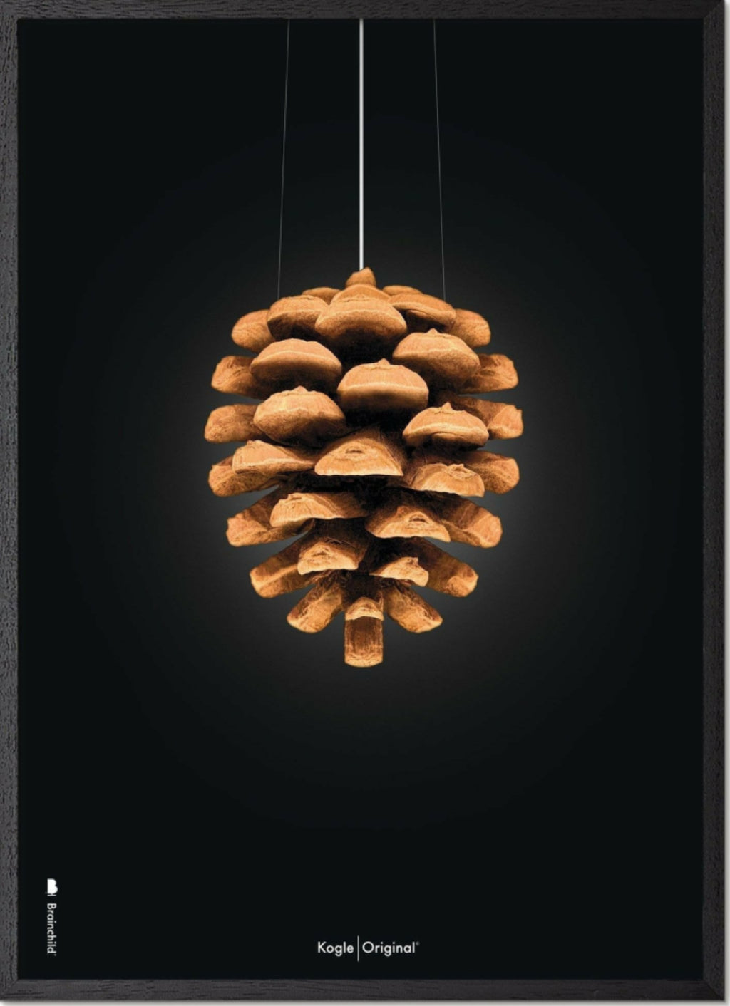 Brainchild pine cone classic poster, frame in black lacquered wood 30x40 cm, black background