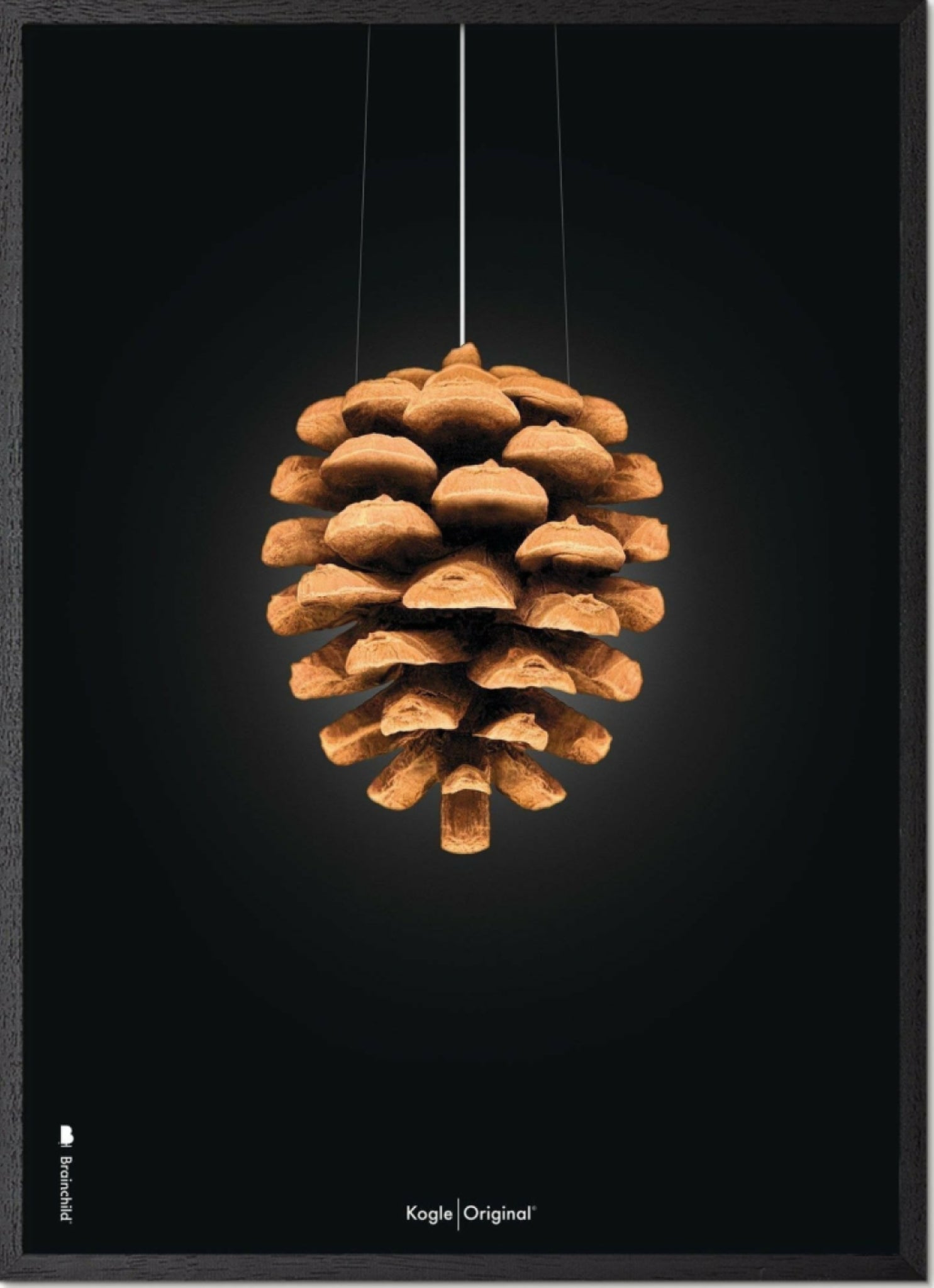 Brainchild pine cone classic poster, frame in black lacquered wood 30x40 cm, black background