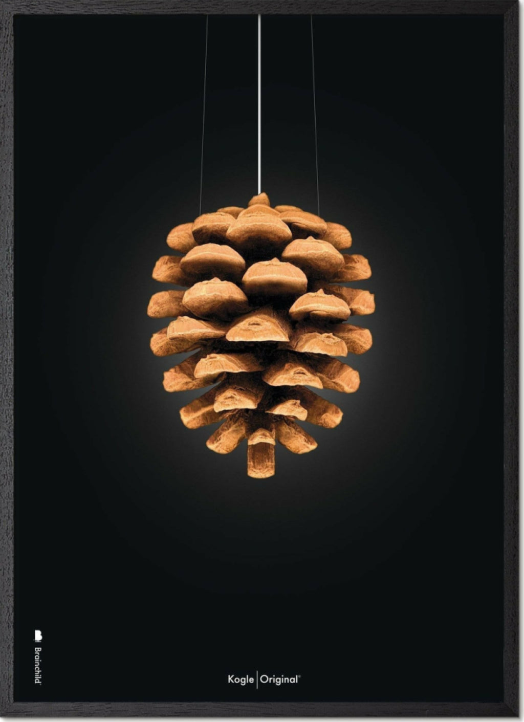 Brainchild pine cone classic poster, frame in black lacquered wood 30x40 cm, black background