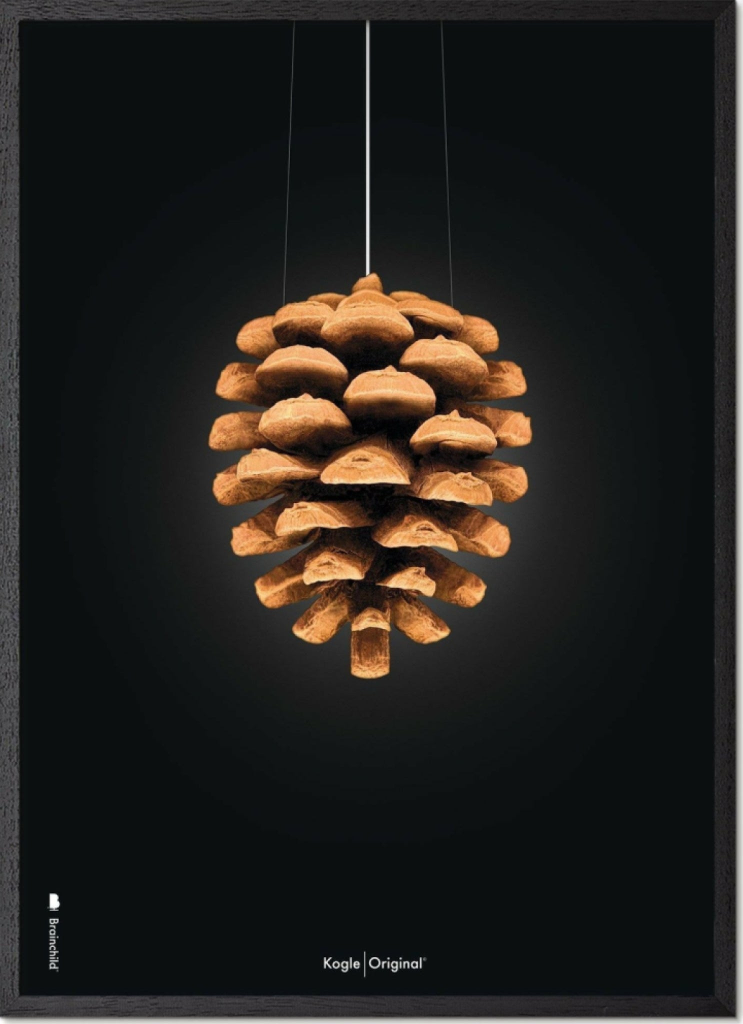 Brainchild pine cone classic poster, frame in black lacquered wood 30x40 cm, black background