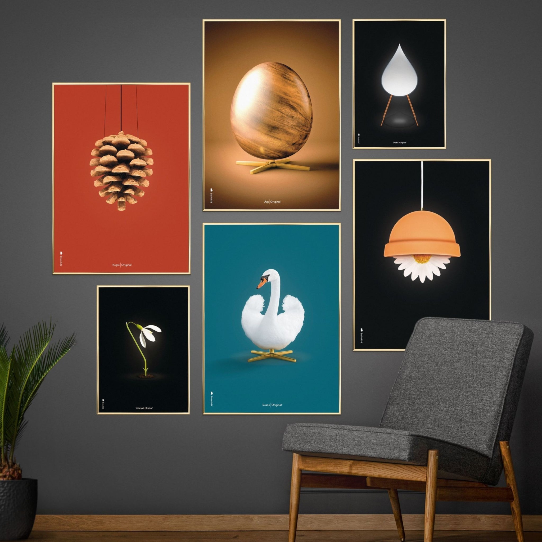 Brainchild Swan Classic Poster, Light Wood Frame A5, Petroleum Blue Background