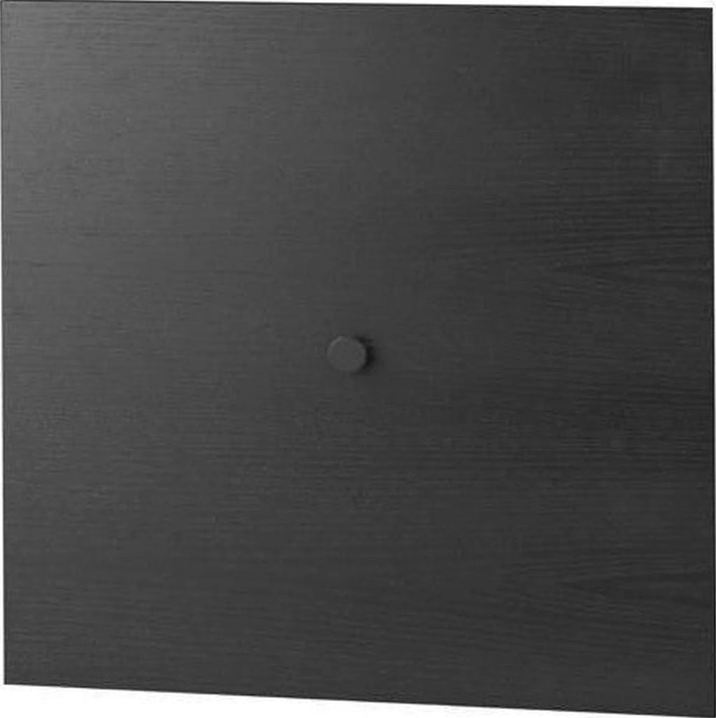 Audo Copenhagen door for frame 49, ash black stained