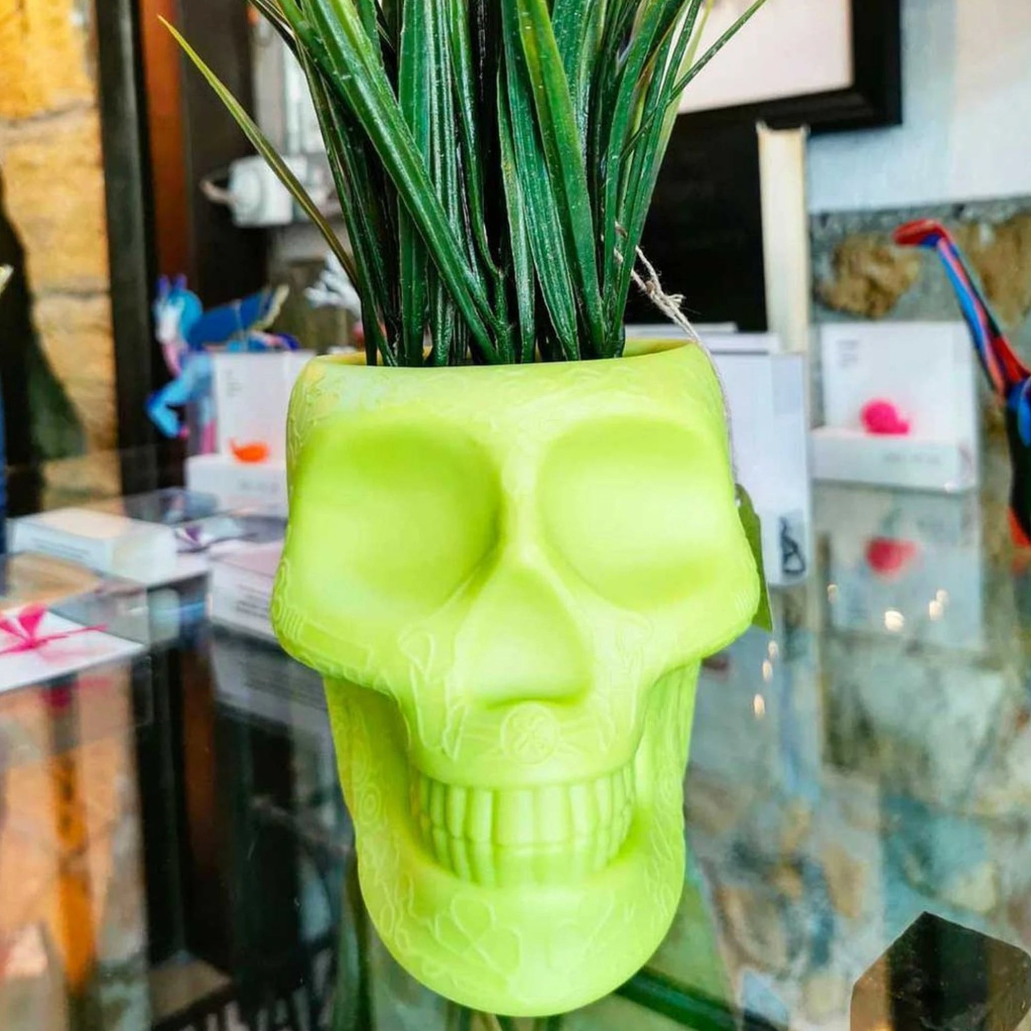 Qeeboo Mexico Planter & Pen Holder XS in Lime - Unique Home Decor Piece