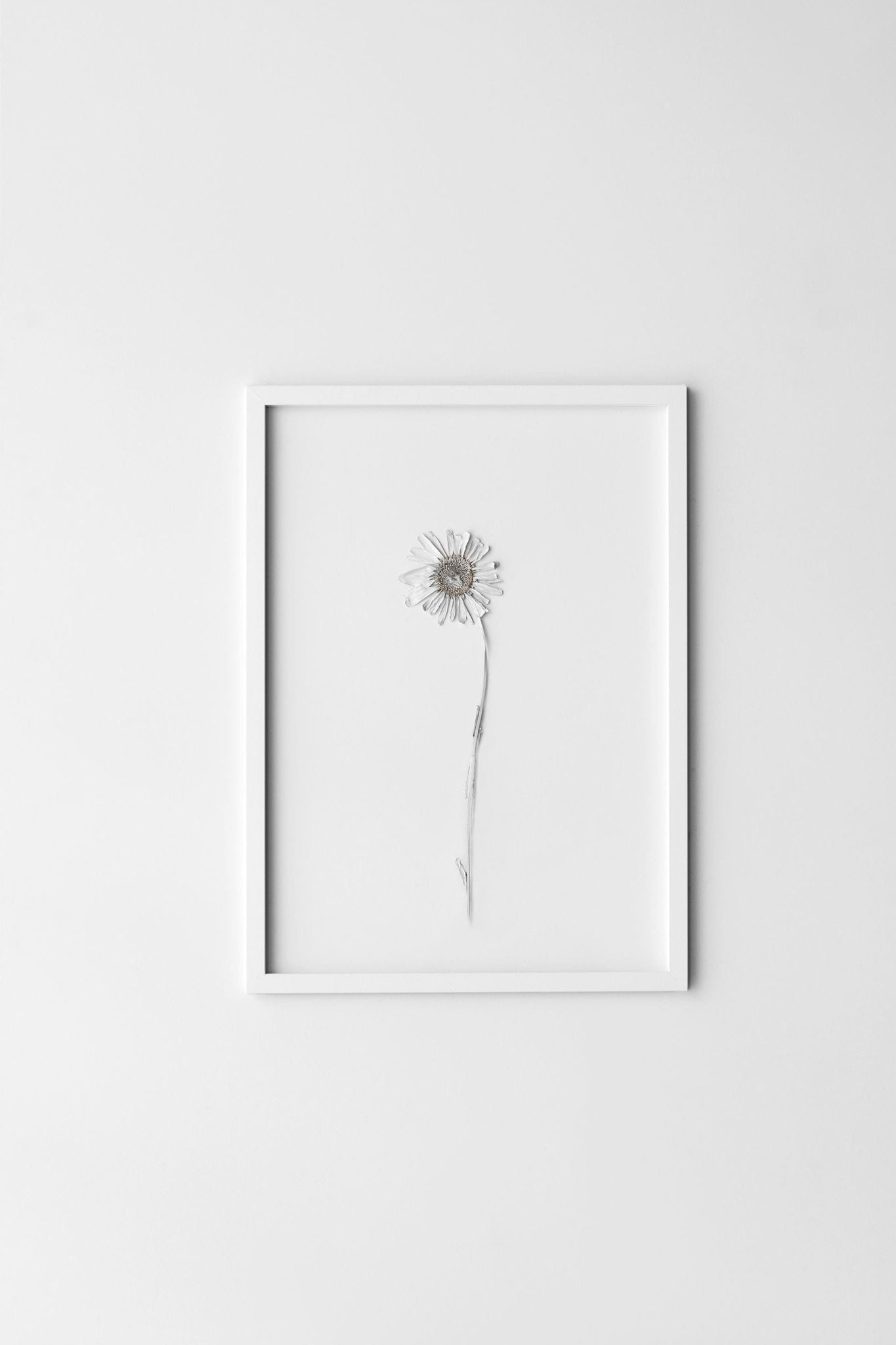 Moebe A4 White Frame: Sleek Aluminum & Acrylic Design, Made in Europe