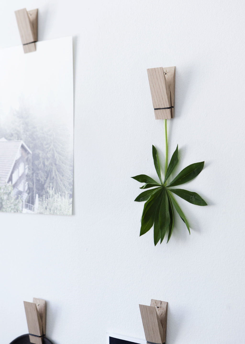 Moebe Oak Wooden Clips - Versatile Pinch Series for Home & Office Use