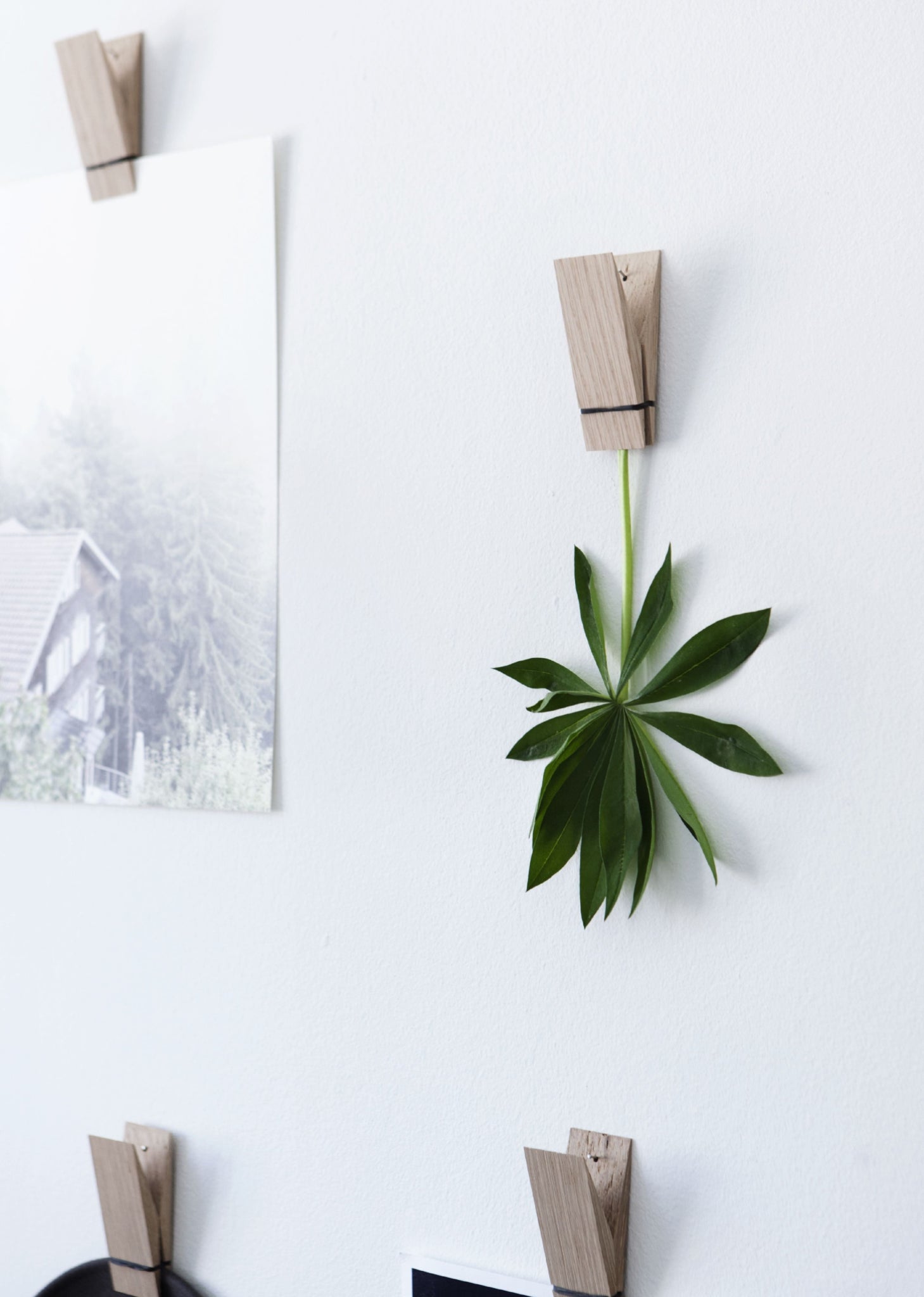 Moebe Oak Wooden Clips - Versatile Pinch Series for Home & Office Use