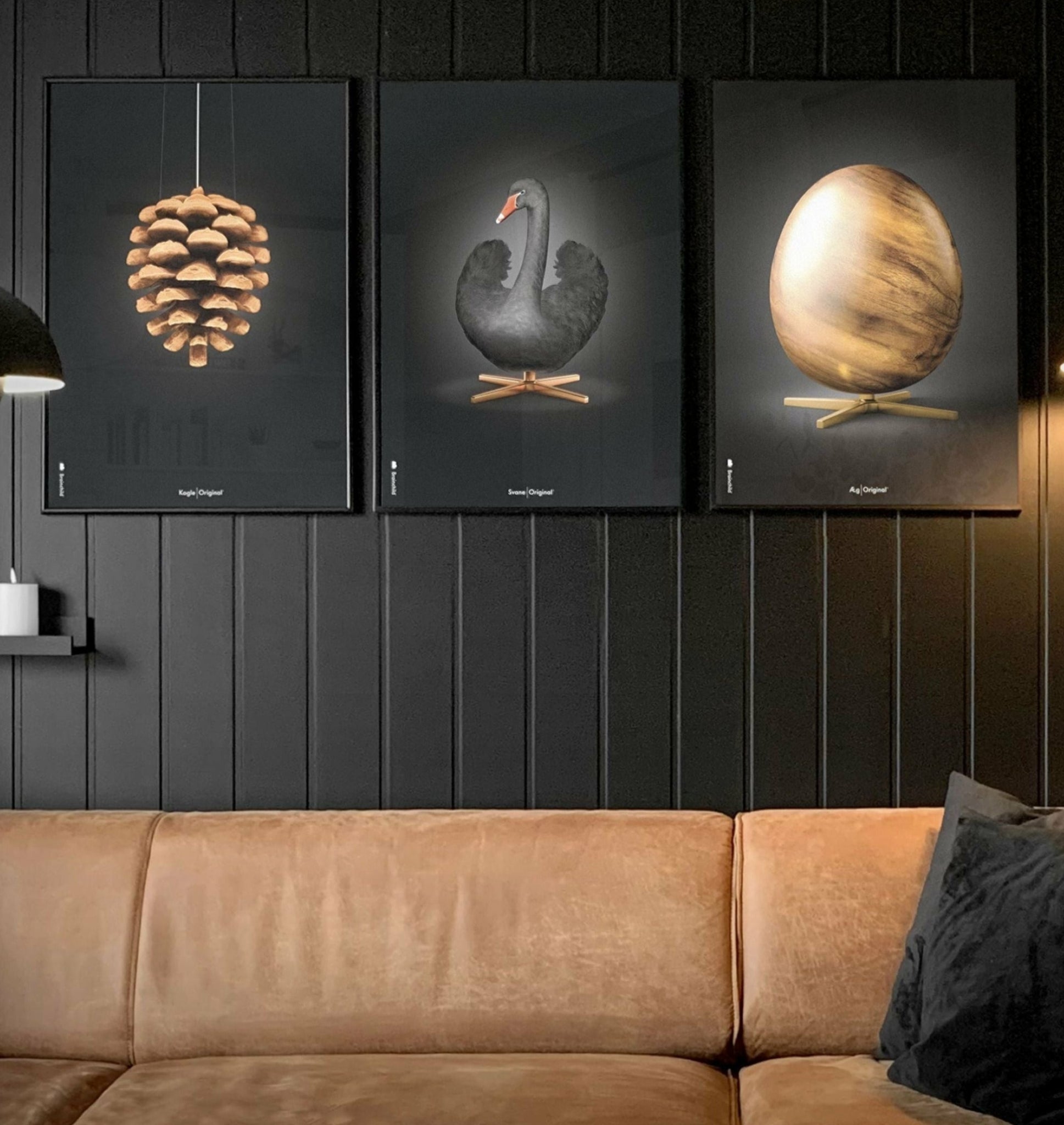 Brainchild pine cone classic poster, frame in black lacquered wood 30x40 cm, black background
