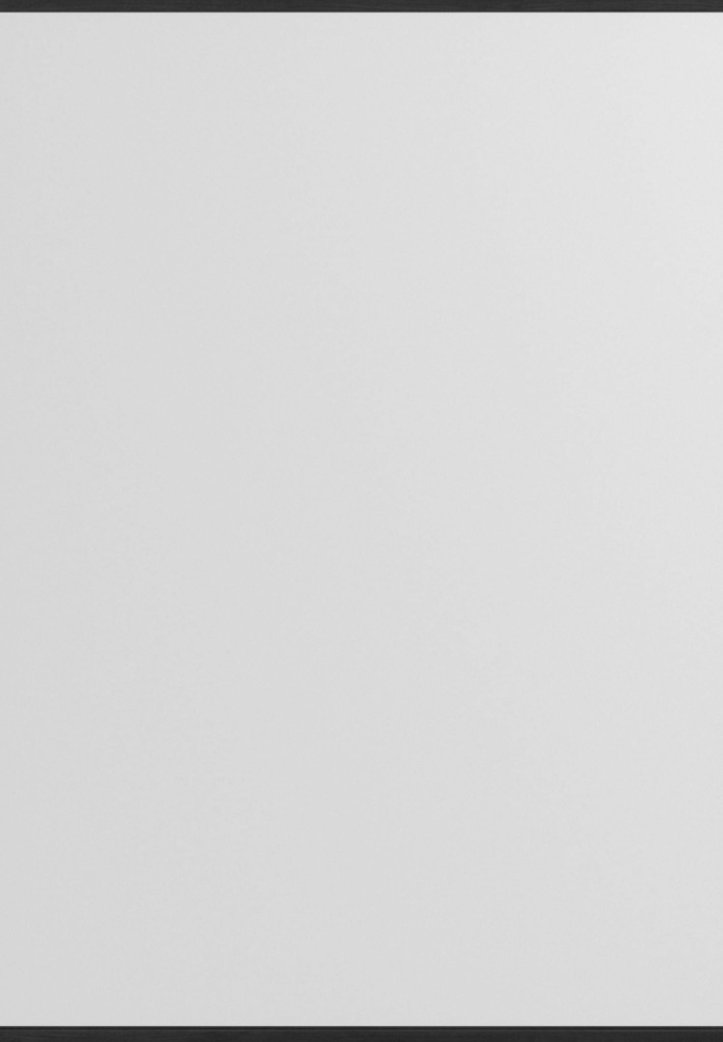 Minimalist Black Moebe Wall Mirror 71.9x50 cm - Nordic Oak Design