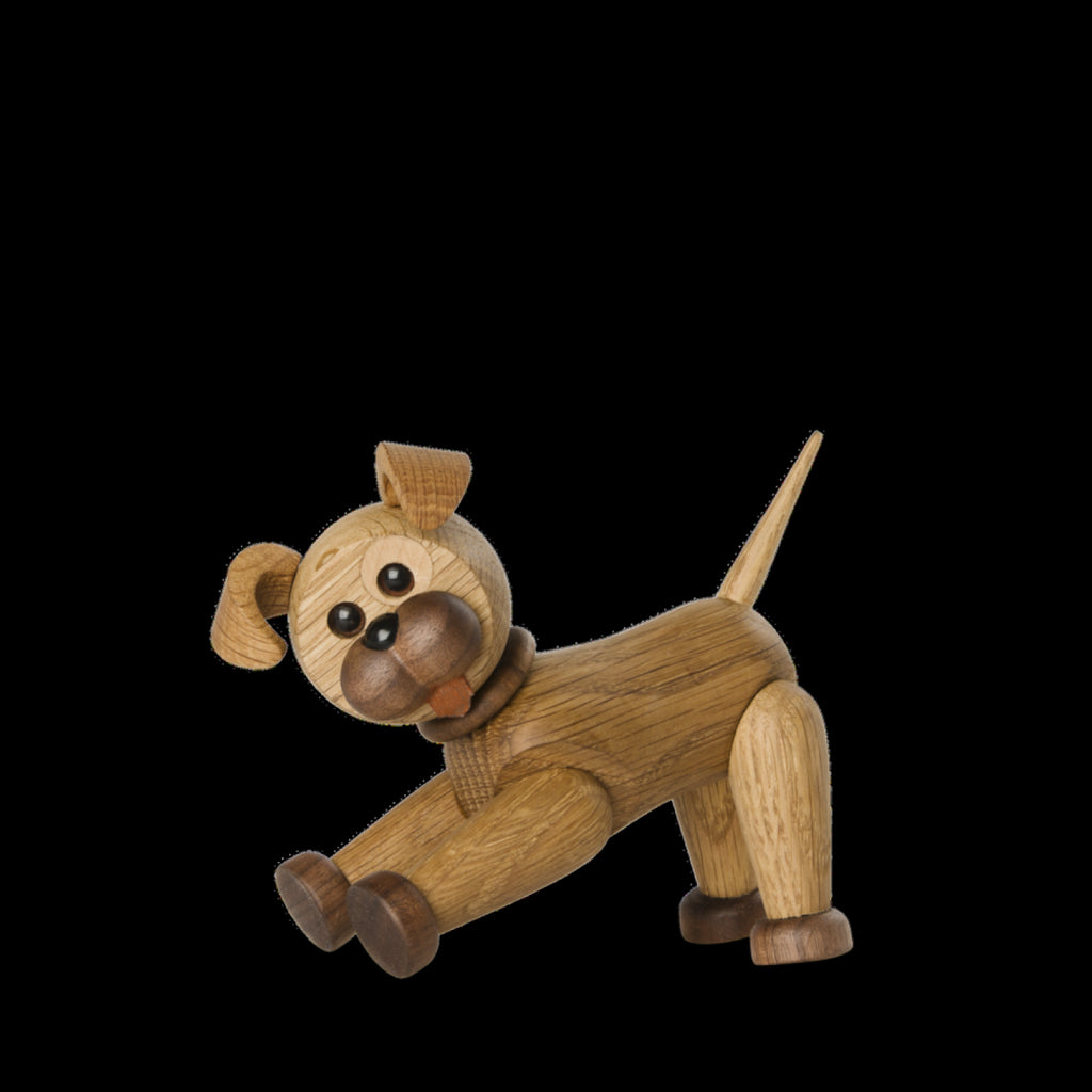 Spring Copenhagen The Dog Happy