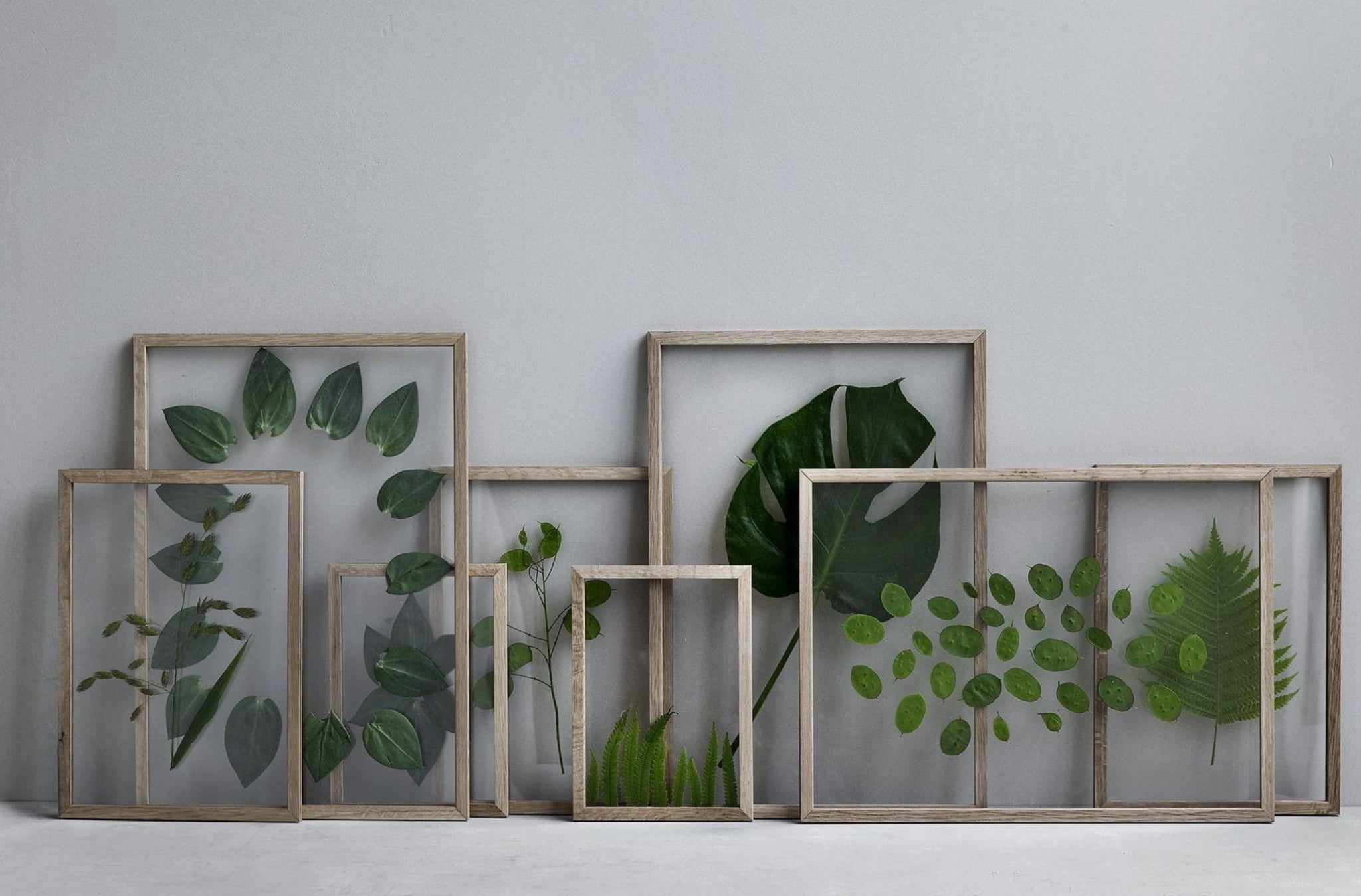 Moebe Frame 50x70 cm Oak - Stylish Acrylic Glass Frame Made in Europe