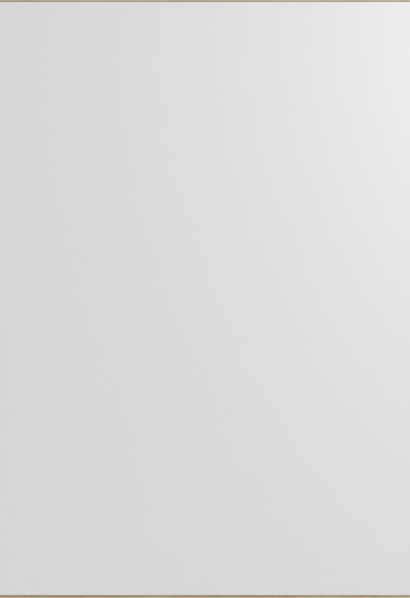 Minimalist Moebe Rectangular Wall Mirror in Ash - 101.8x70 cm