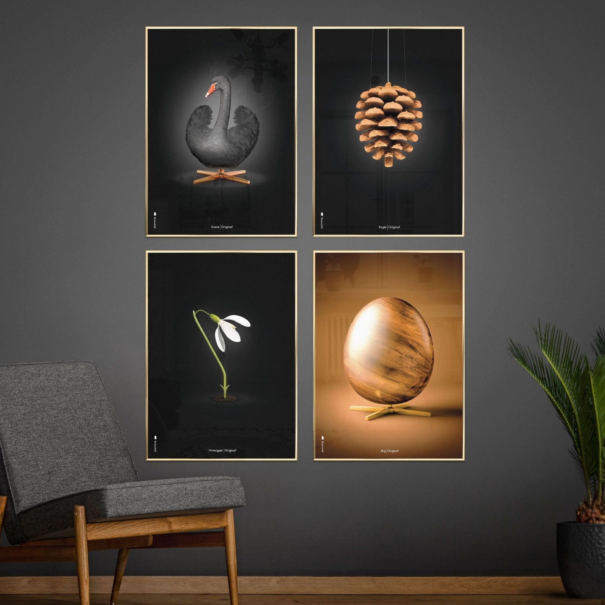 Brainchild Swan Classic Poster, Brass Frame A5, Black/Black Background