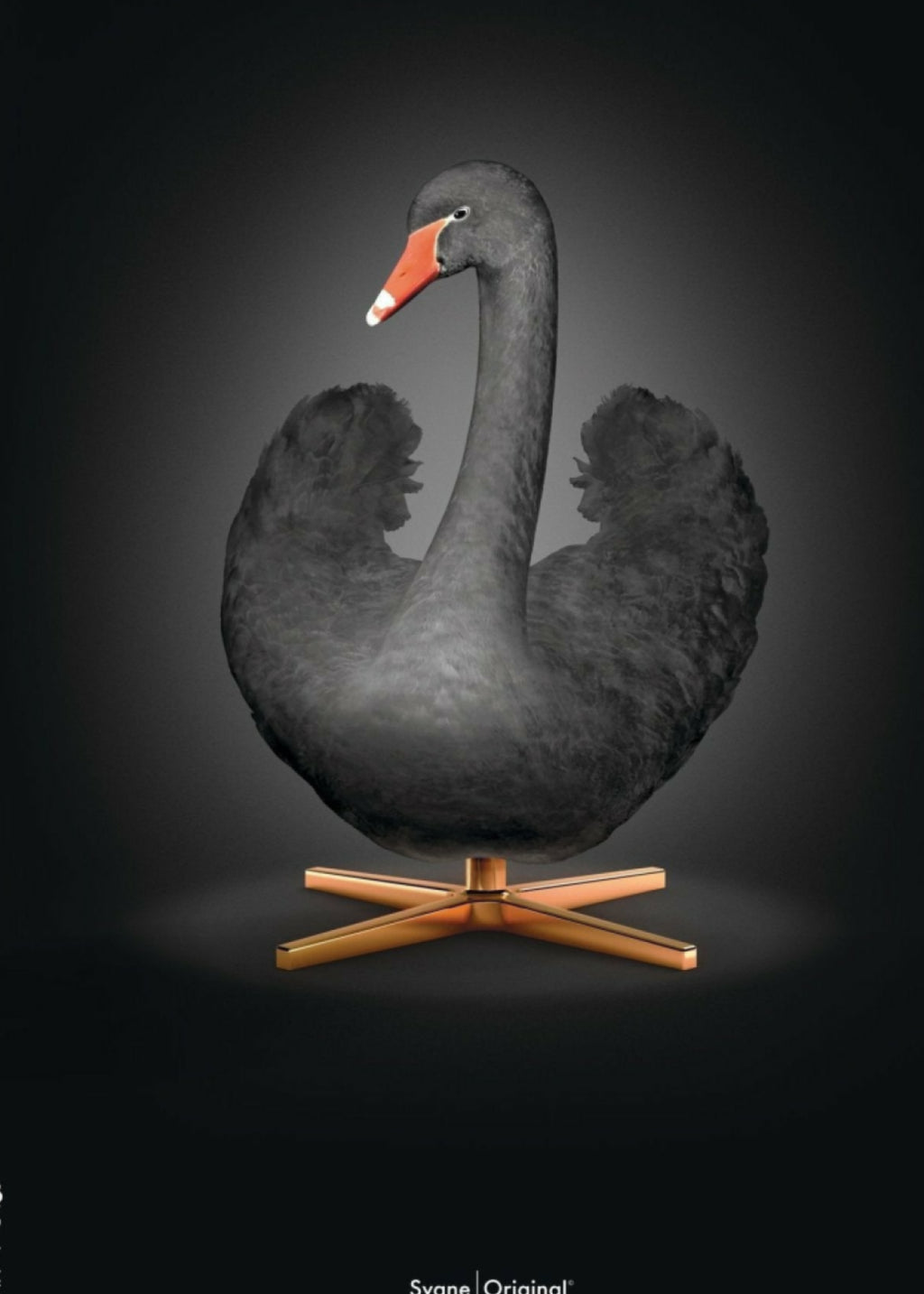 Brainchild Swan Classic Poster Without Frame A5, Black/Black Background