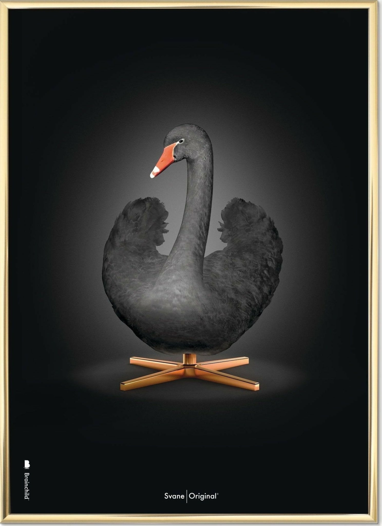 Brainchild Swan Classic Poster, Brass Frame A5, Black/Black Background