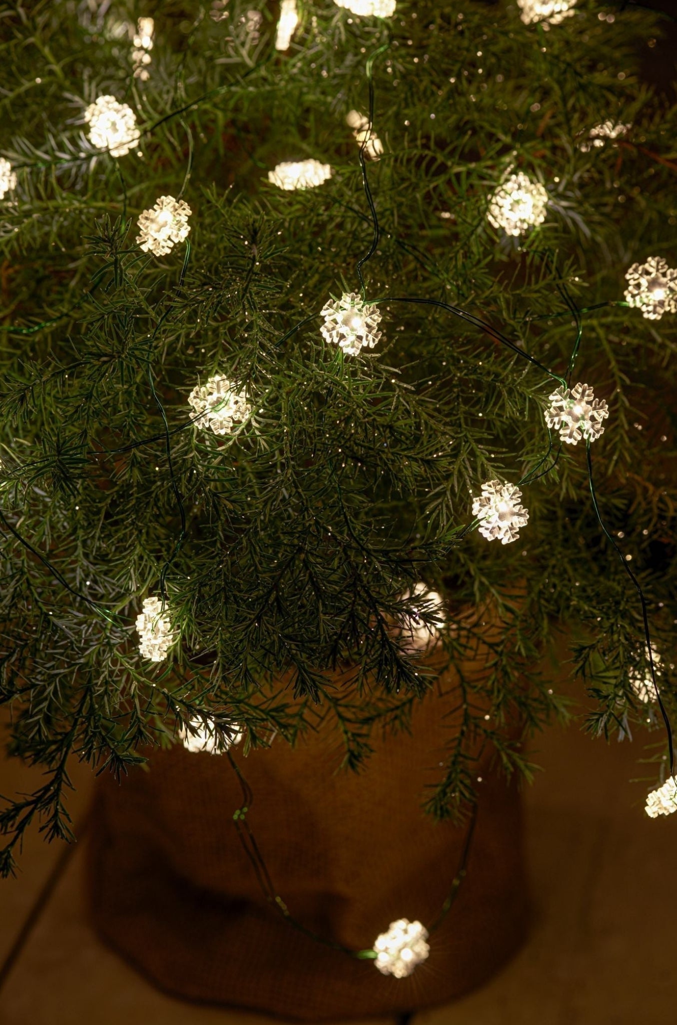 Sirius Nynne Snowflake Light Chain 40 Le Ds, Clear/Green