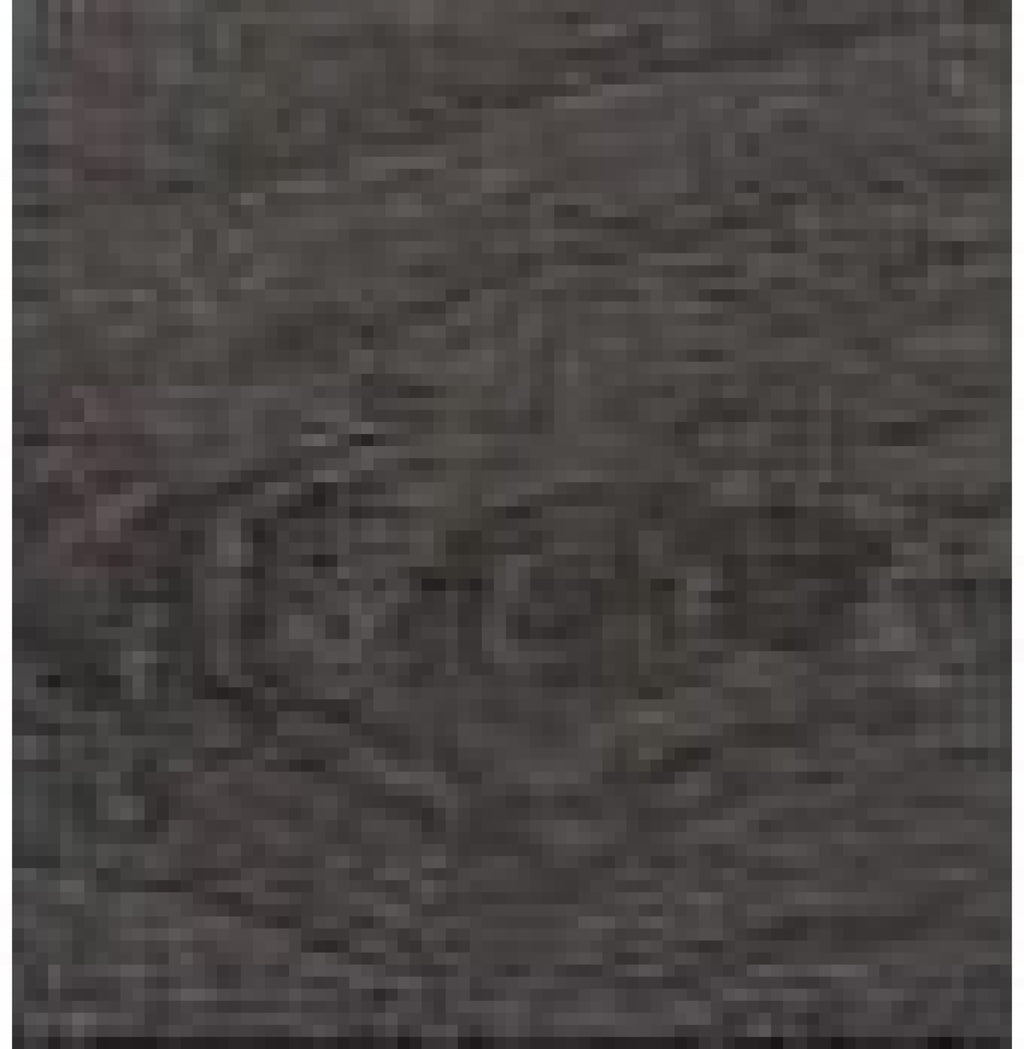 Le Klint Sax Wall Lamp 223/2, Plastic Black/Oak