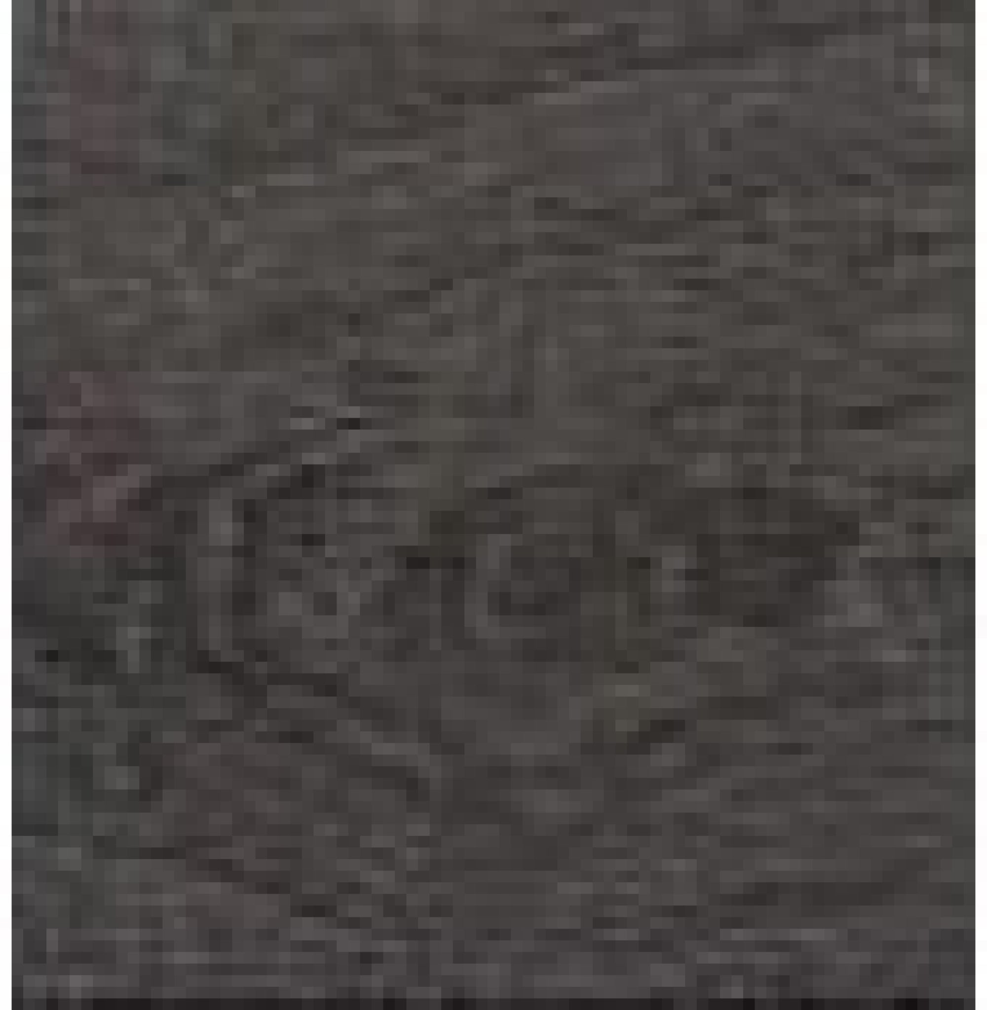 Le Klint Sax Wall Lamp 223/2, Plastic Black/Oak