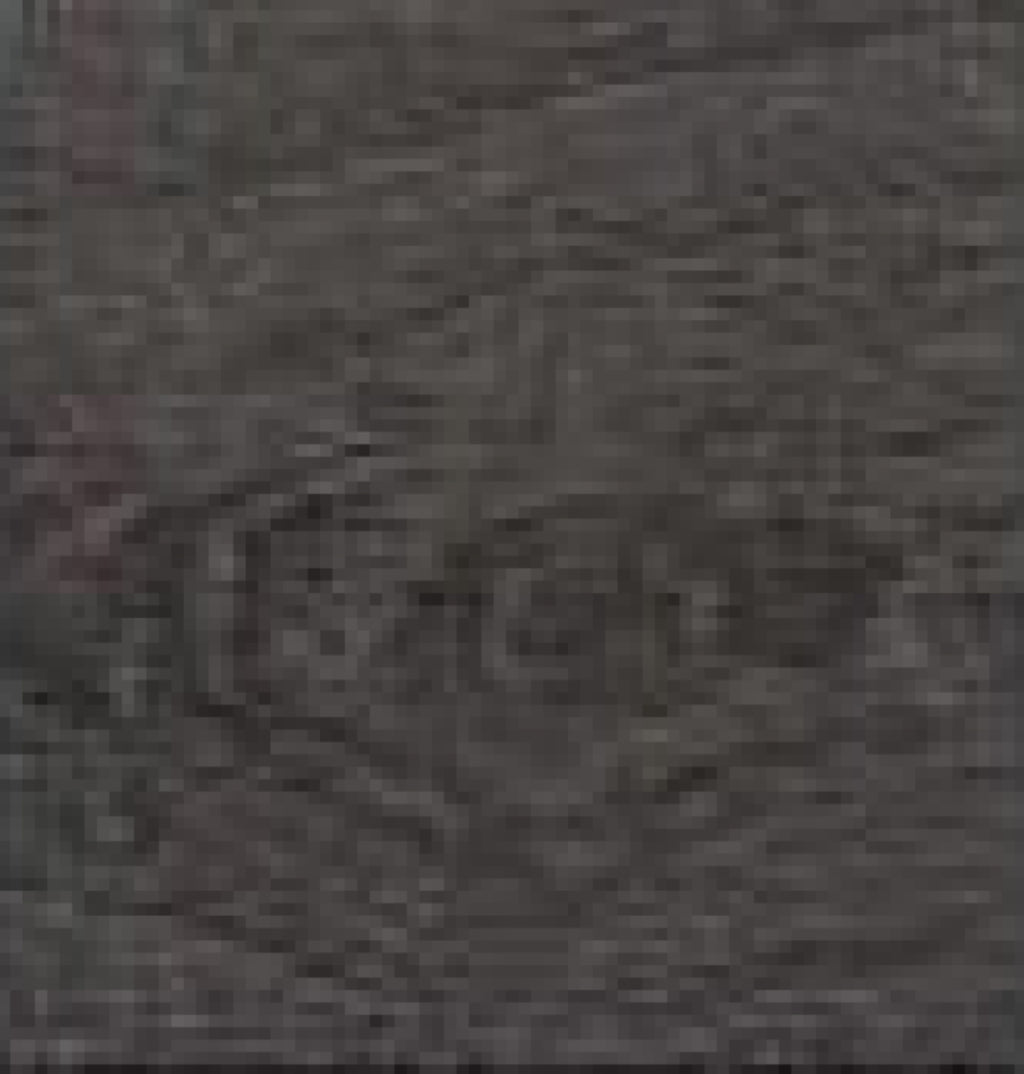 Le Klint Sax Wall Lamp 223/2, Plastic Black/Oak