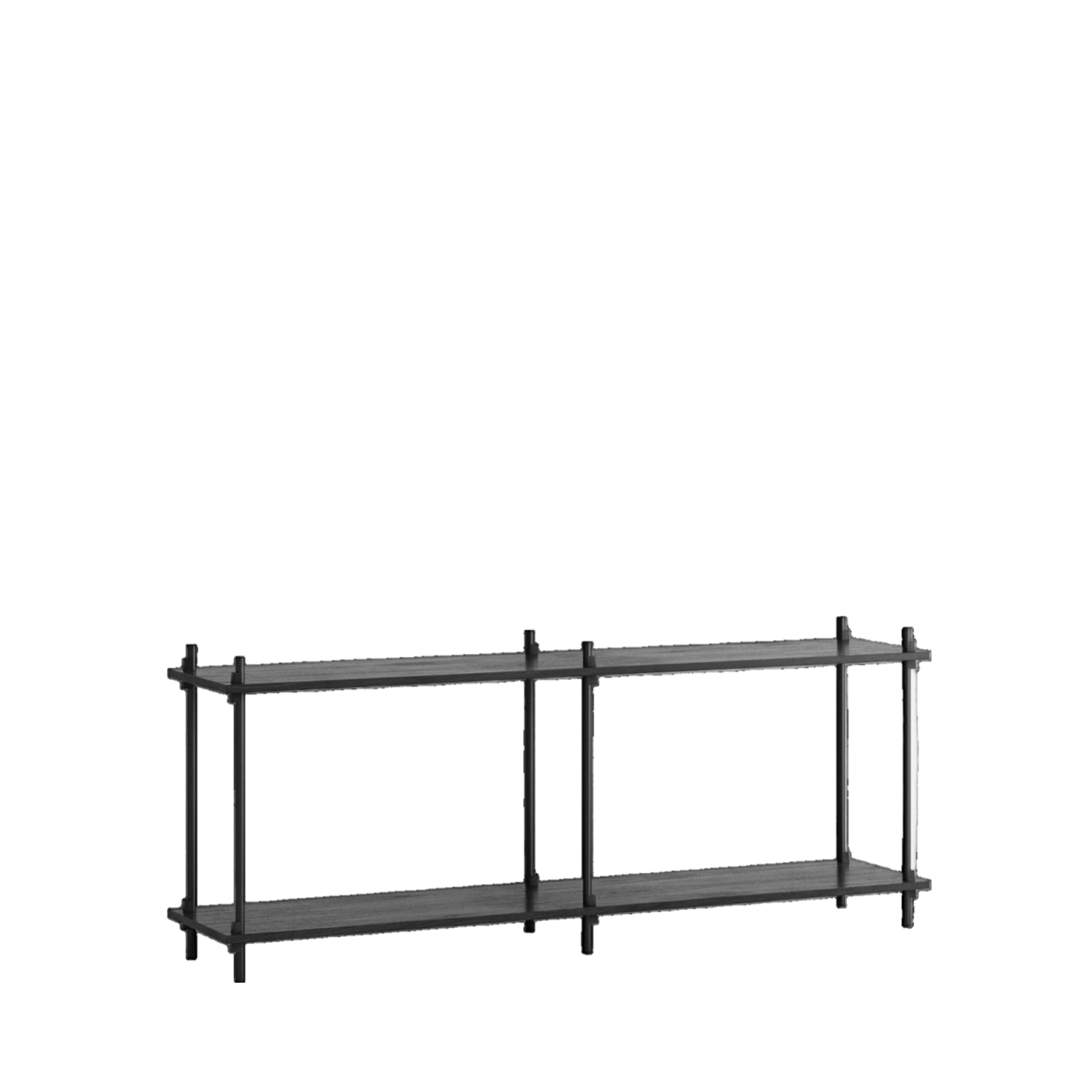 Customizable Moebe Shelving System S.65.2.B in Black - Versatile Design