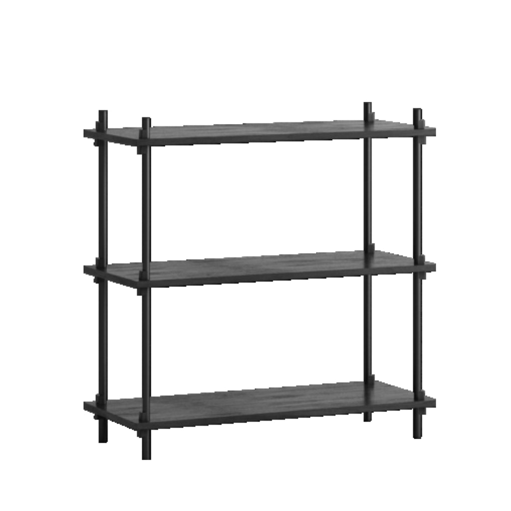 Customizable Moebe Shelving System S.85.1.A in Black - Versatile Design
