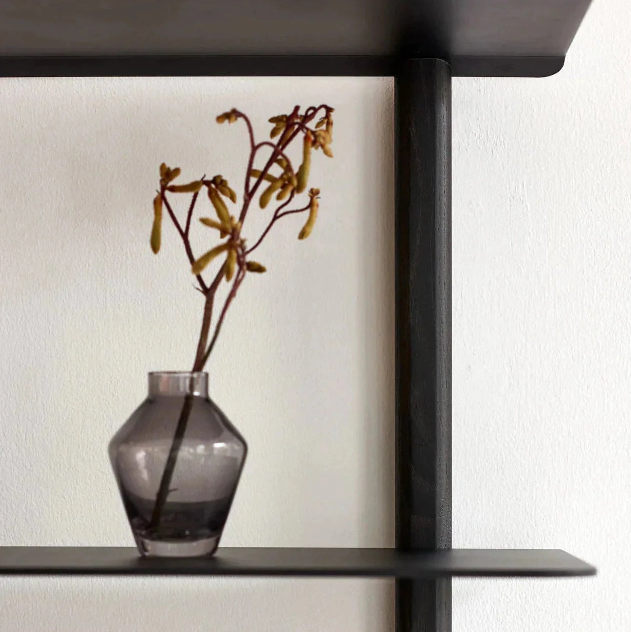 Gejst NIVO Large Black Ash Wall Shelf – Minimalist Floating Design