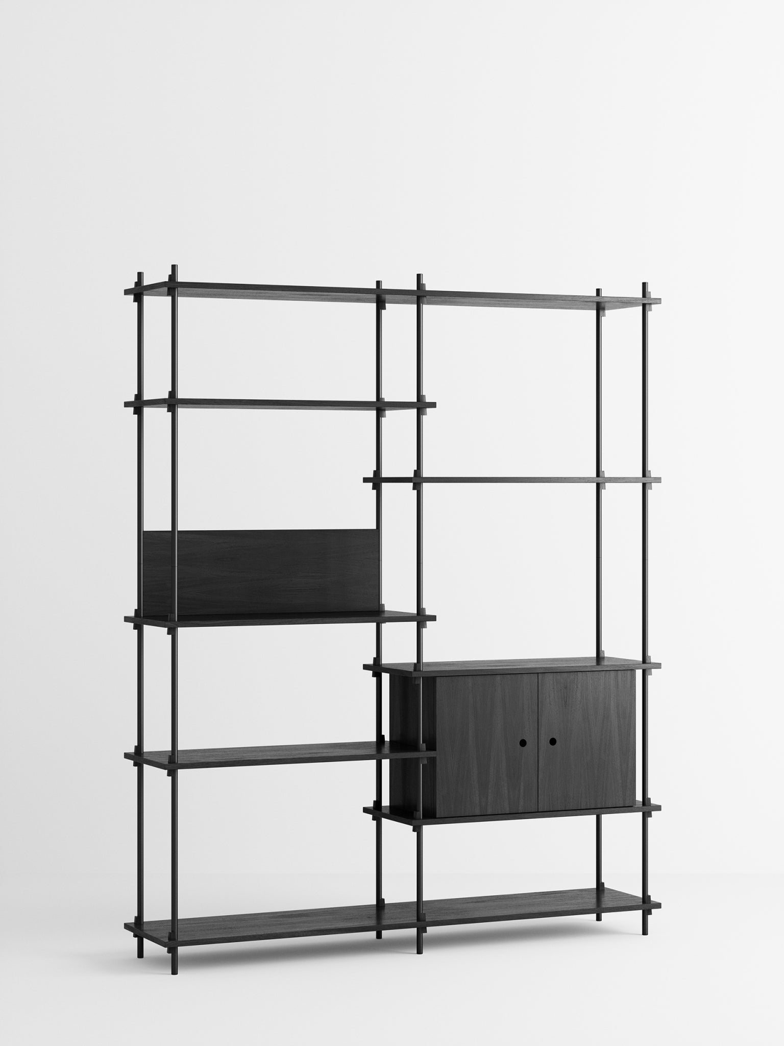 Customizable Moebe Shelving System S.200.2.C in Black - Versatile Design