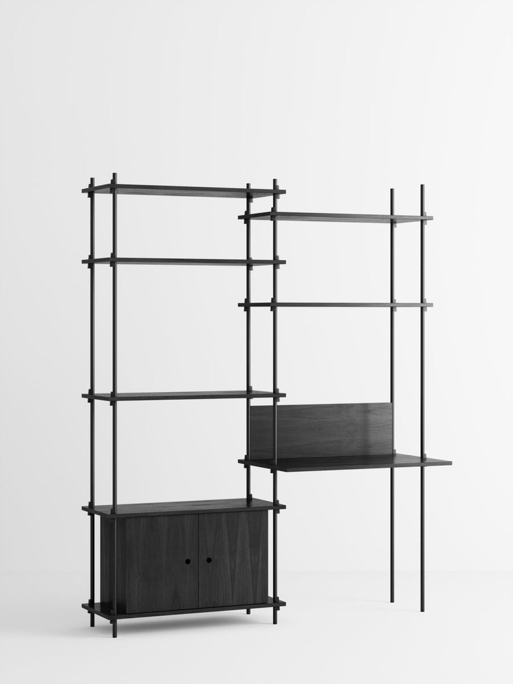 Customizable Moebe Shelving System S.200.2.E in Black - Versatile Design