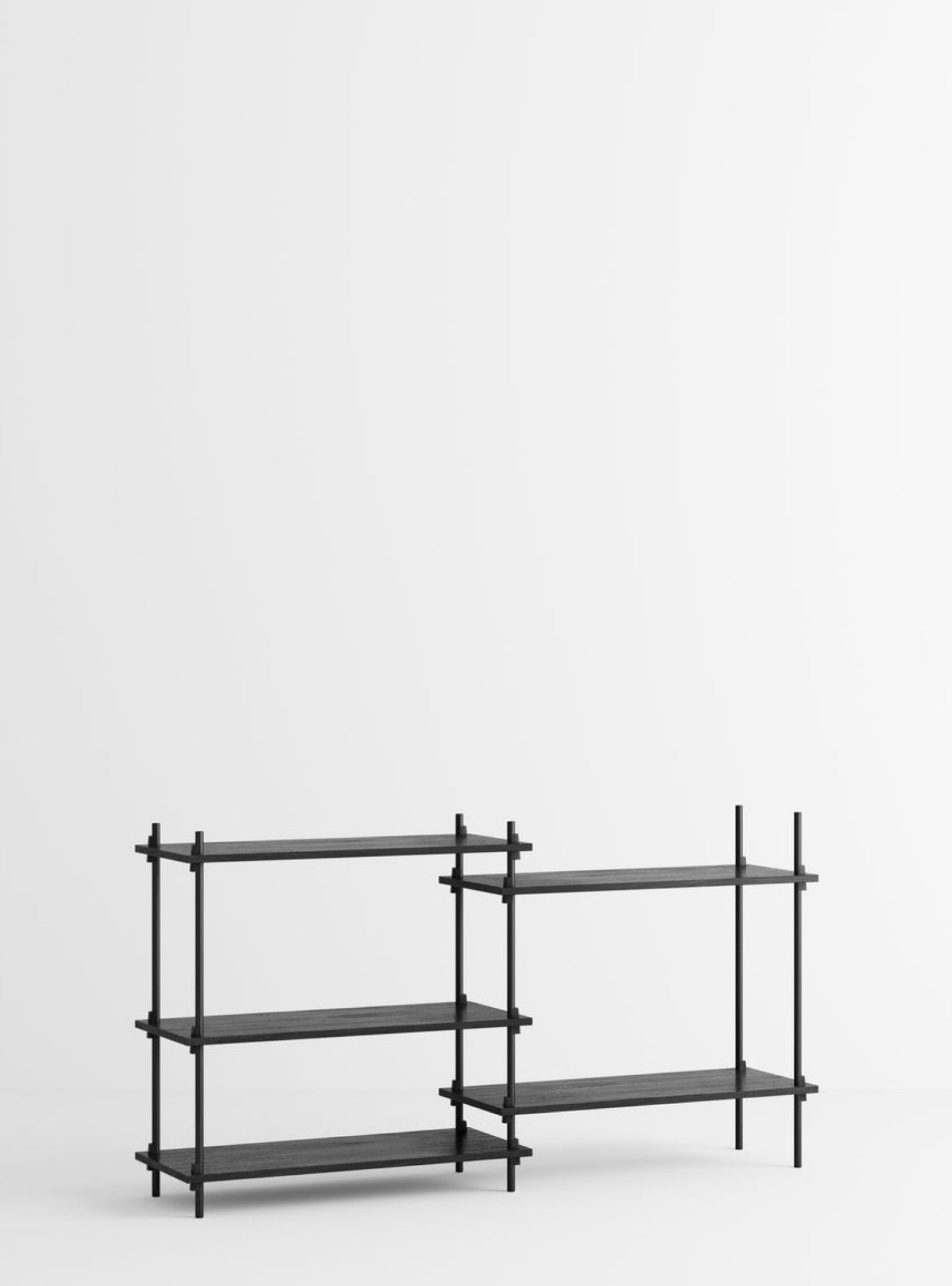 Customizable Moebe Shelving System S.85.2.A in Black - Versatile Design