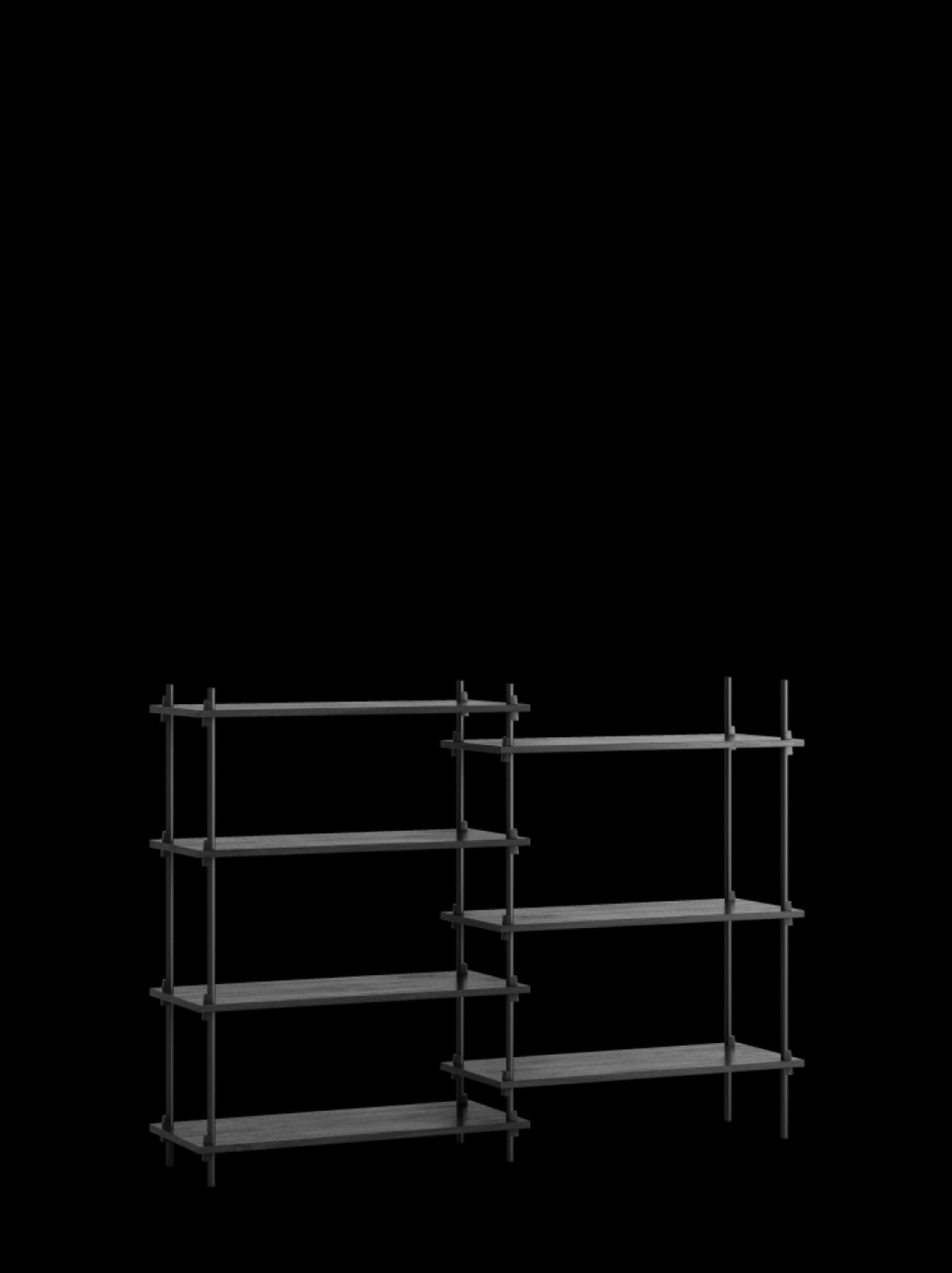 Customizable Moebe Shelving System S.115.2.A in Black - Versatile Design