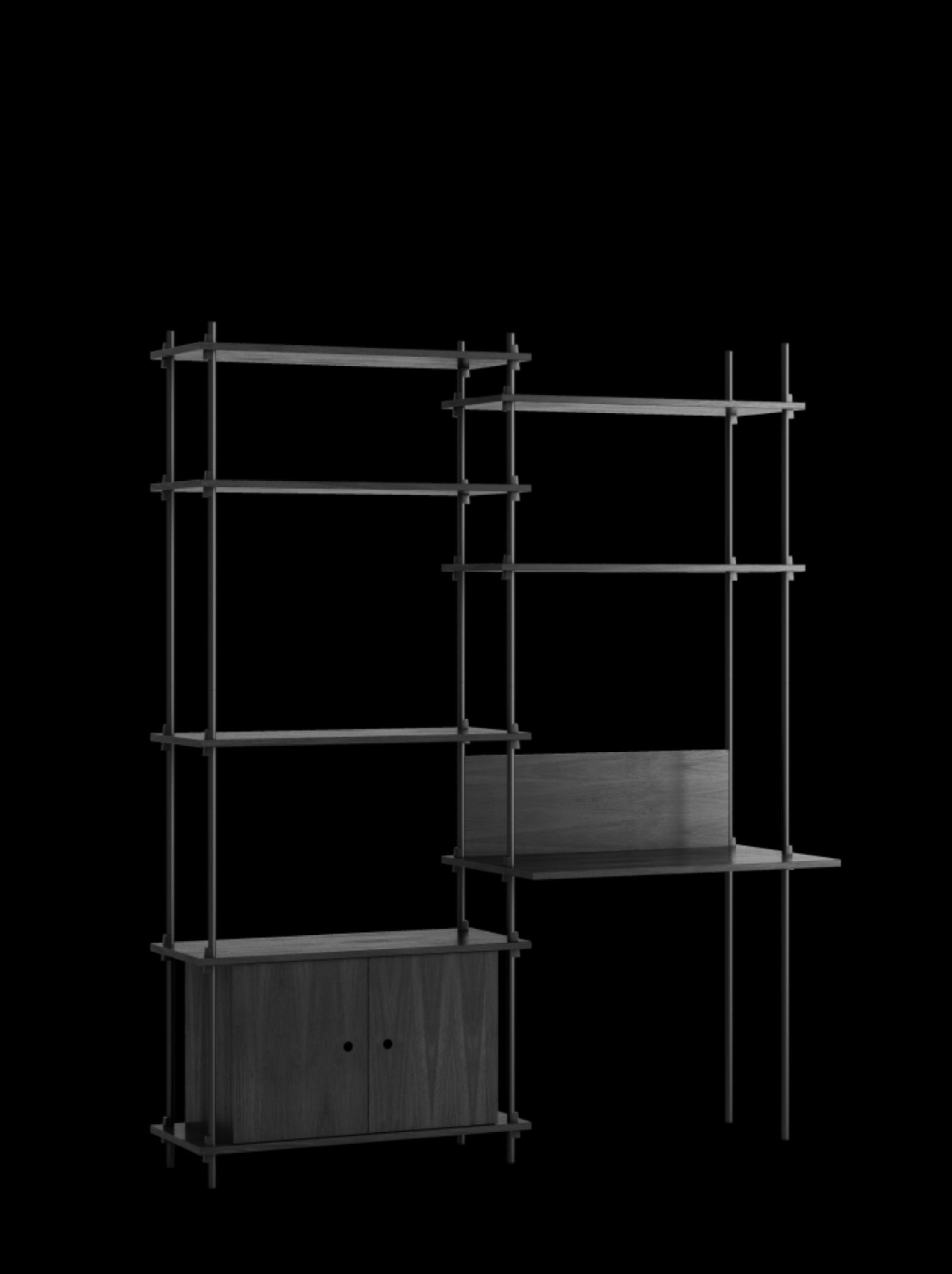 Customizable Moebe Shelving System S.200.2.E in Black - Versatile Design