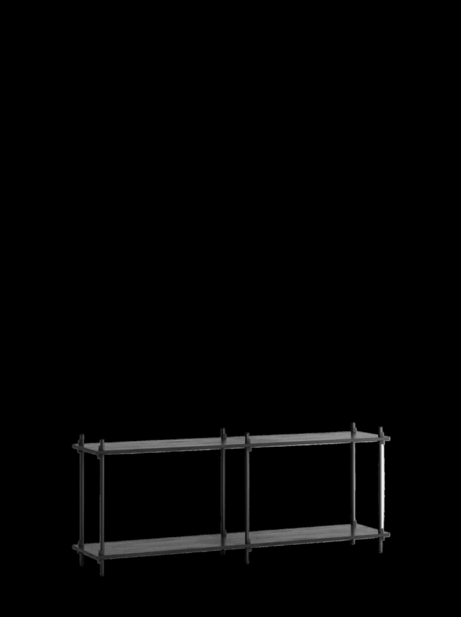 Customizable Moebe Shelving System S.65.2.B in Black - Versatile Design