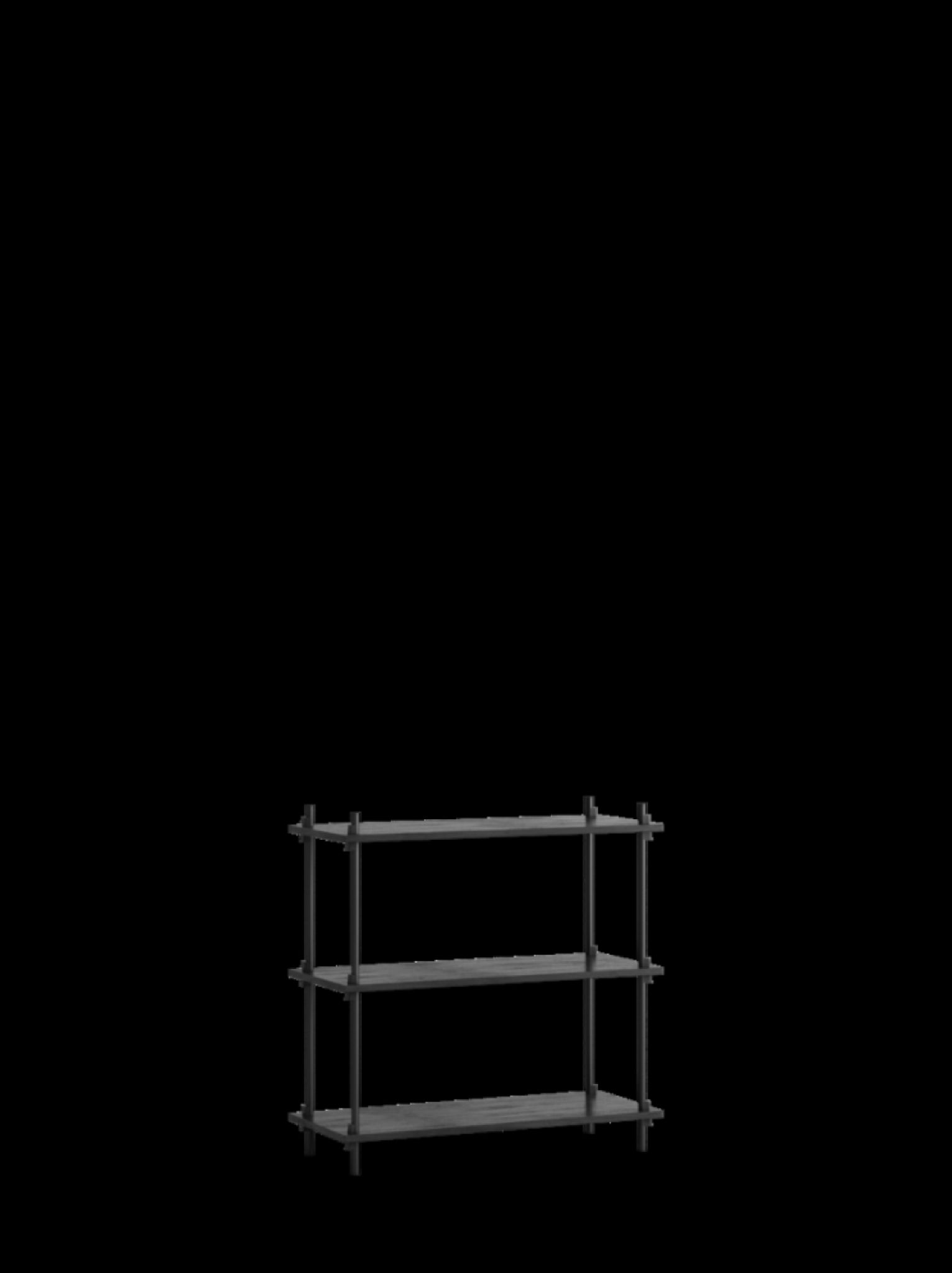 Customizable Moebe Shelving System S.85.1.A in Black - Versatile Design