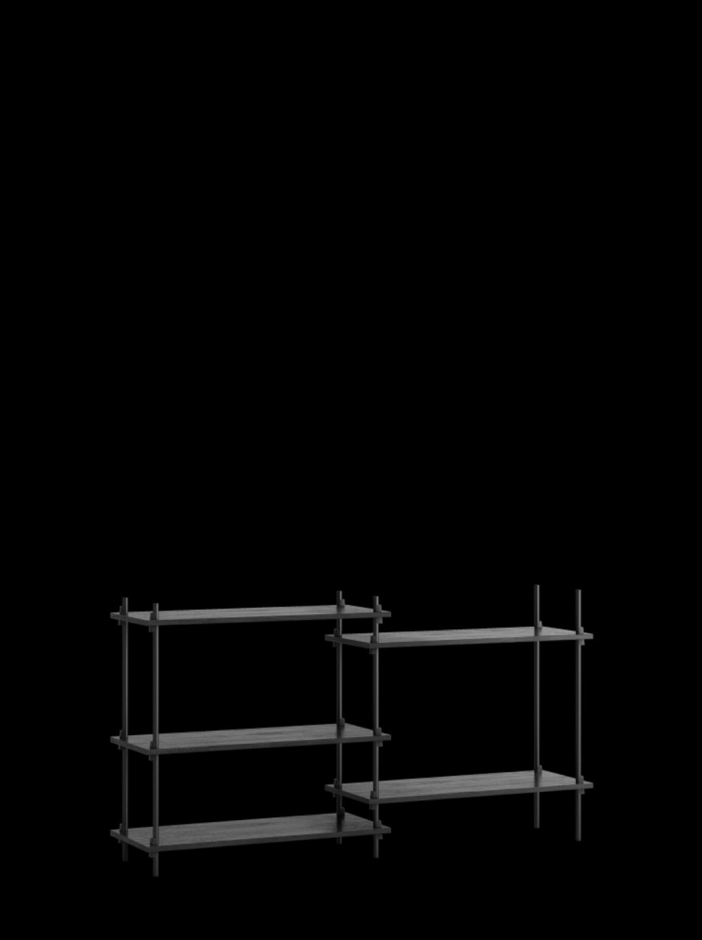Customizable Moebe Shelving System S.85.2.A in Black - Versatile Design
