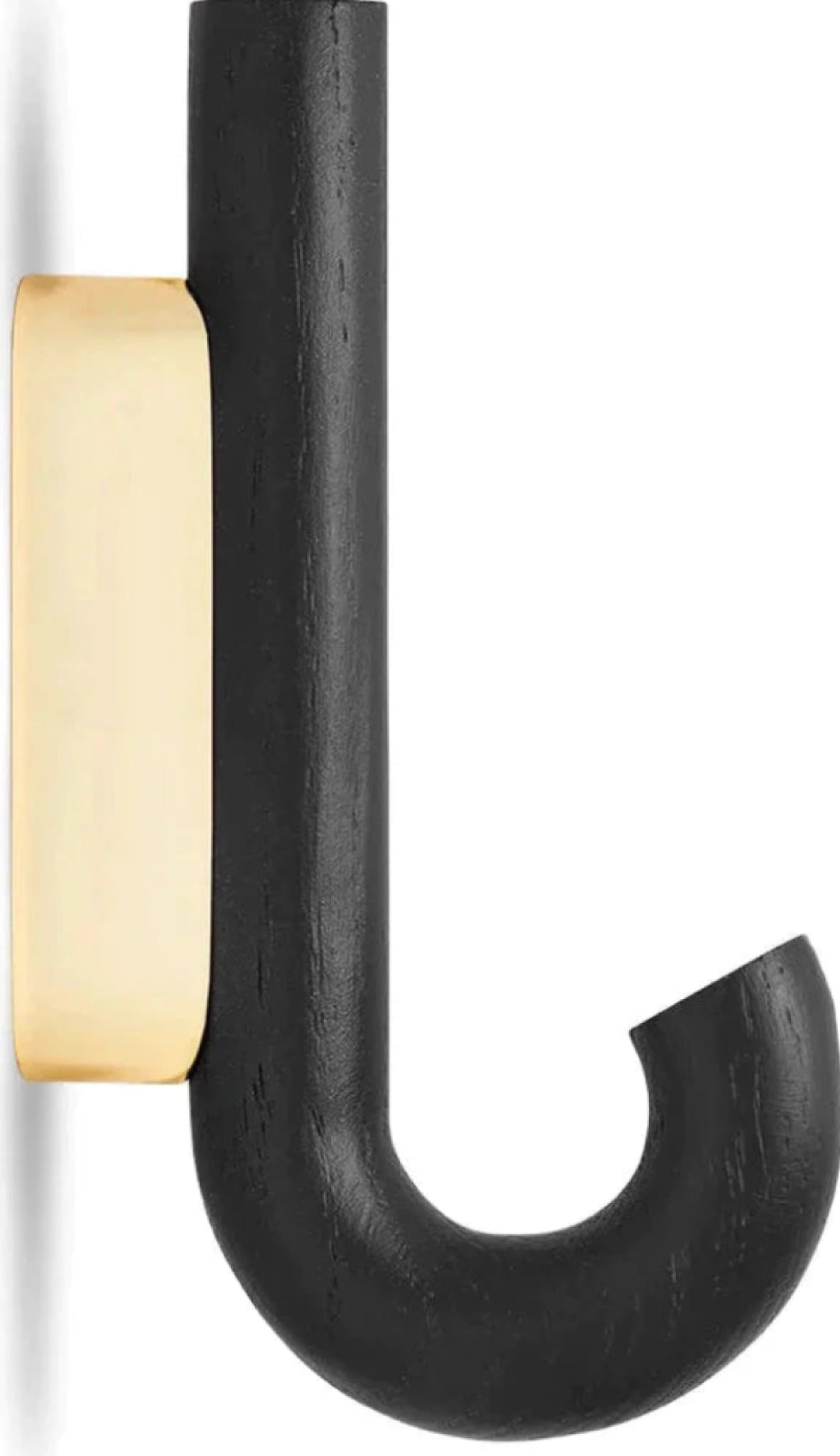 Gejst Hook Mini Wall Hook — Black Oak With Brass | Coat & Towel Hook