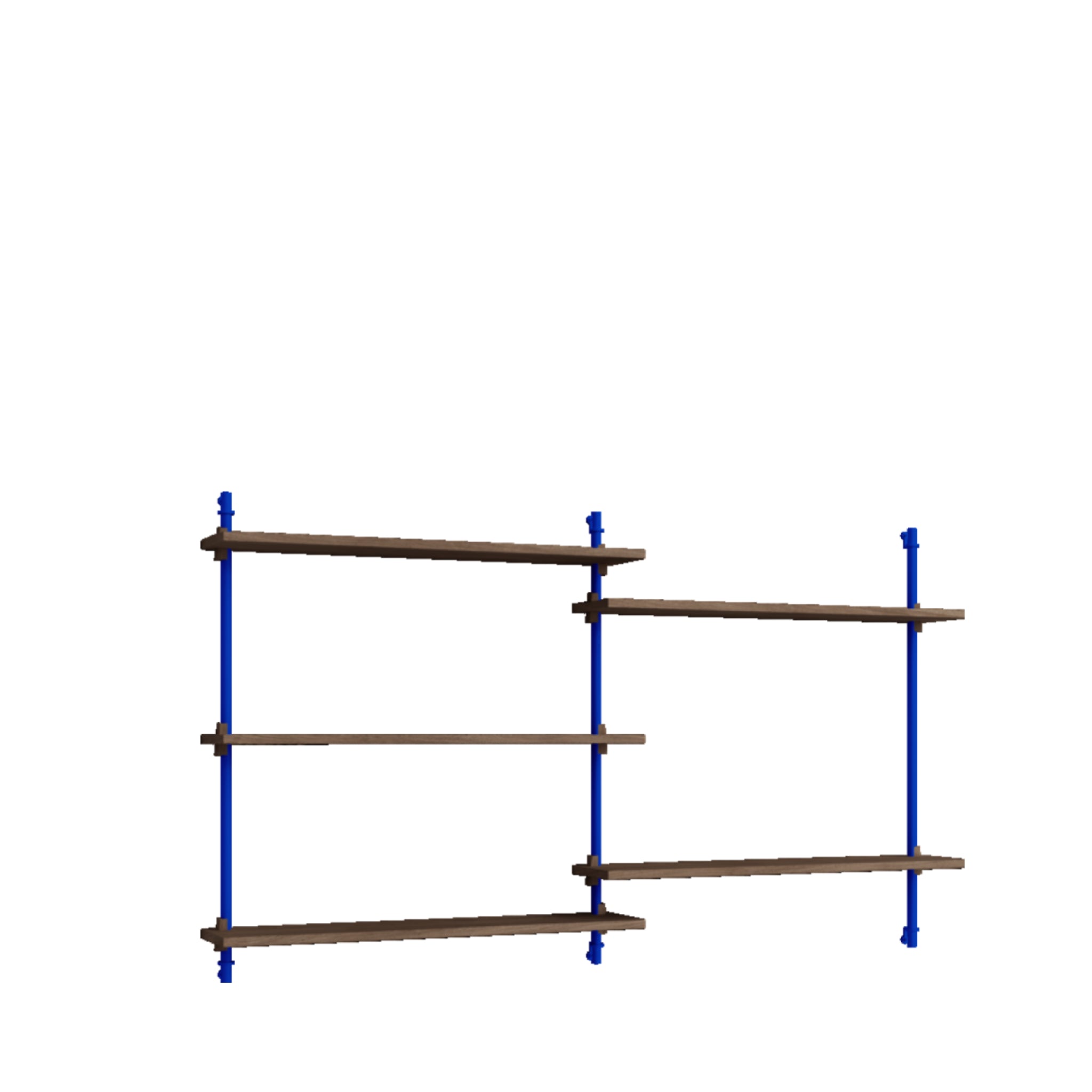 Versatile Moebe Wall Shelving WS.85.2 in Smoked Oak & Deep Blue Design