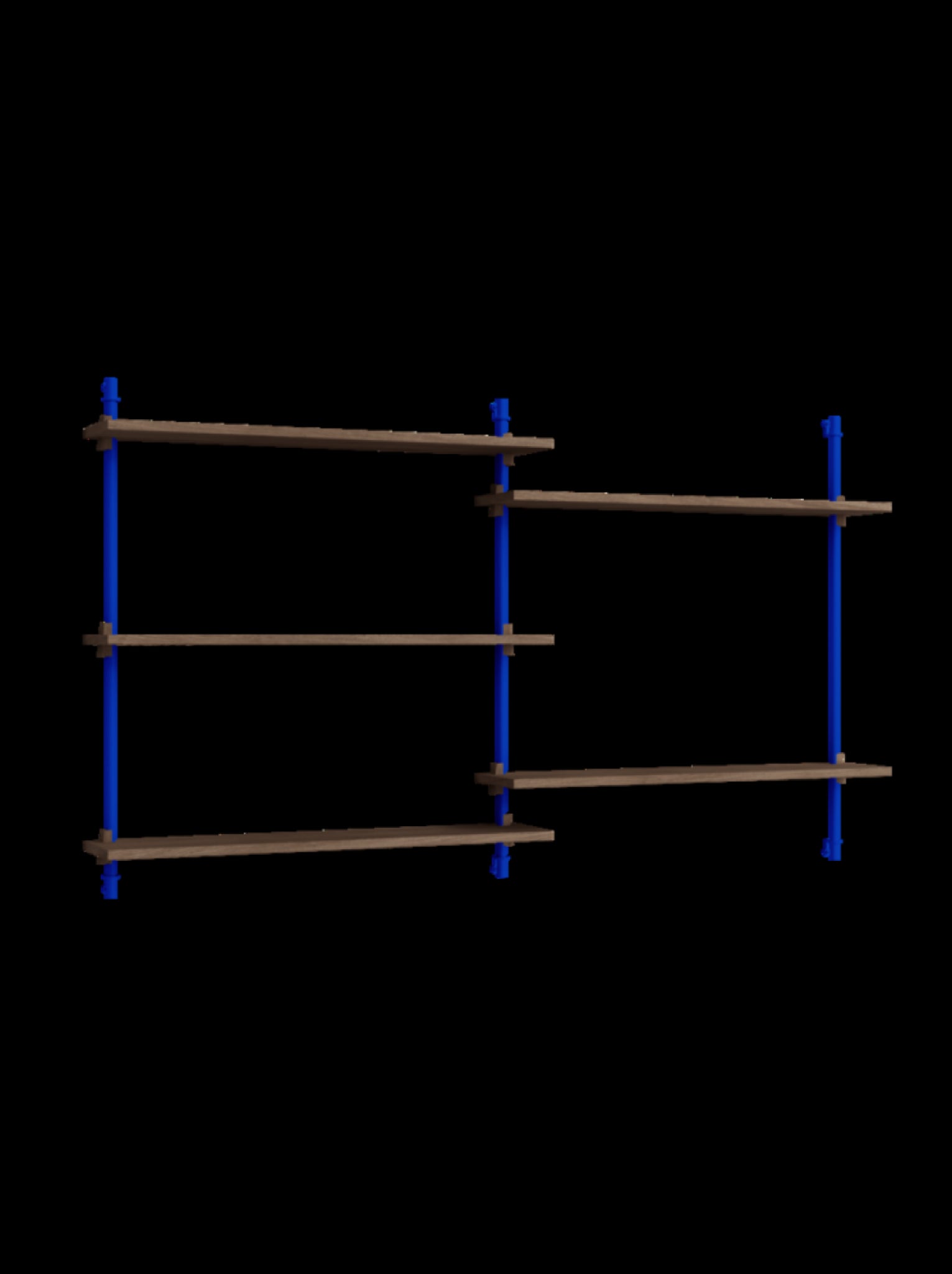 Versatile Moebe Wall Shelving WS.85.2 in Smoked Oak & Deep Blue Design